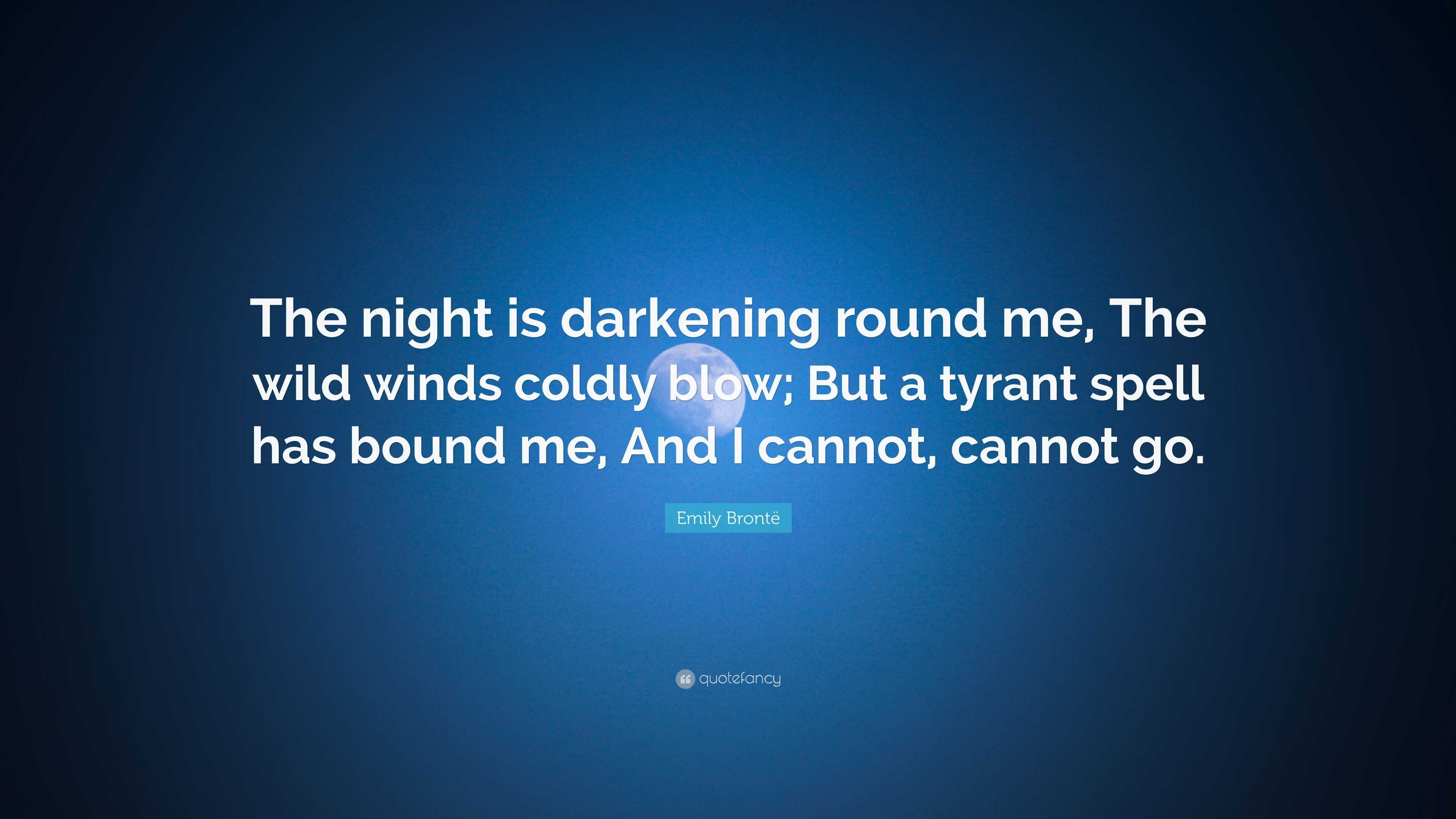 Emily Brontë Quote: “The night is darkening round me, The wild winds
