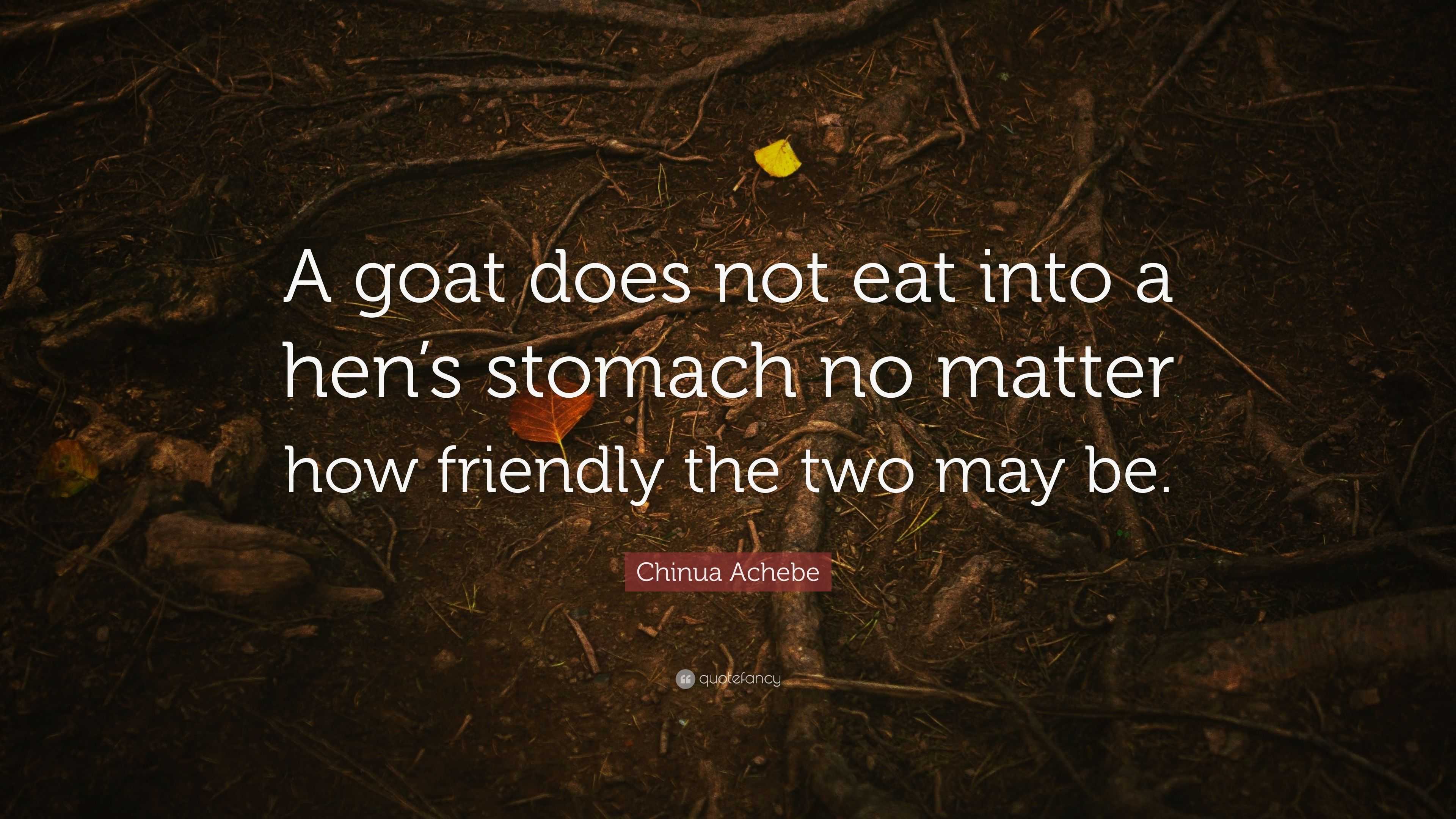 Chinua Achebe Quote “A goat does not eat into a hen’s stomach no