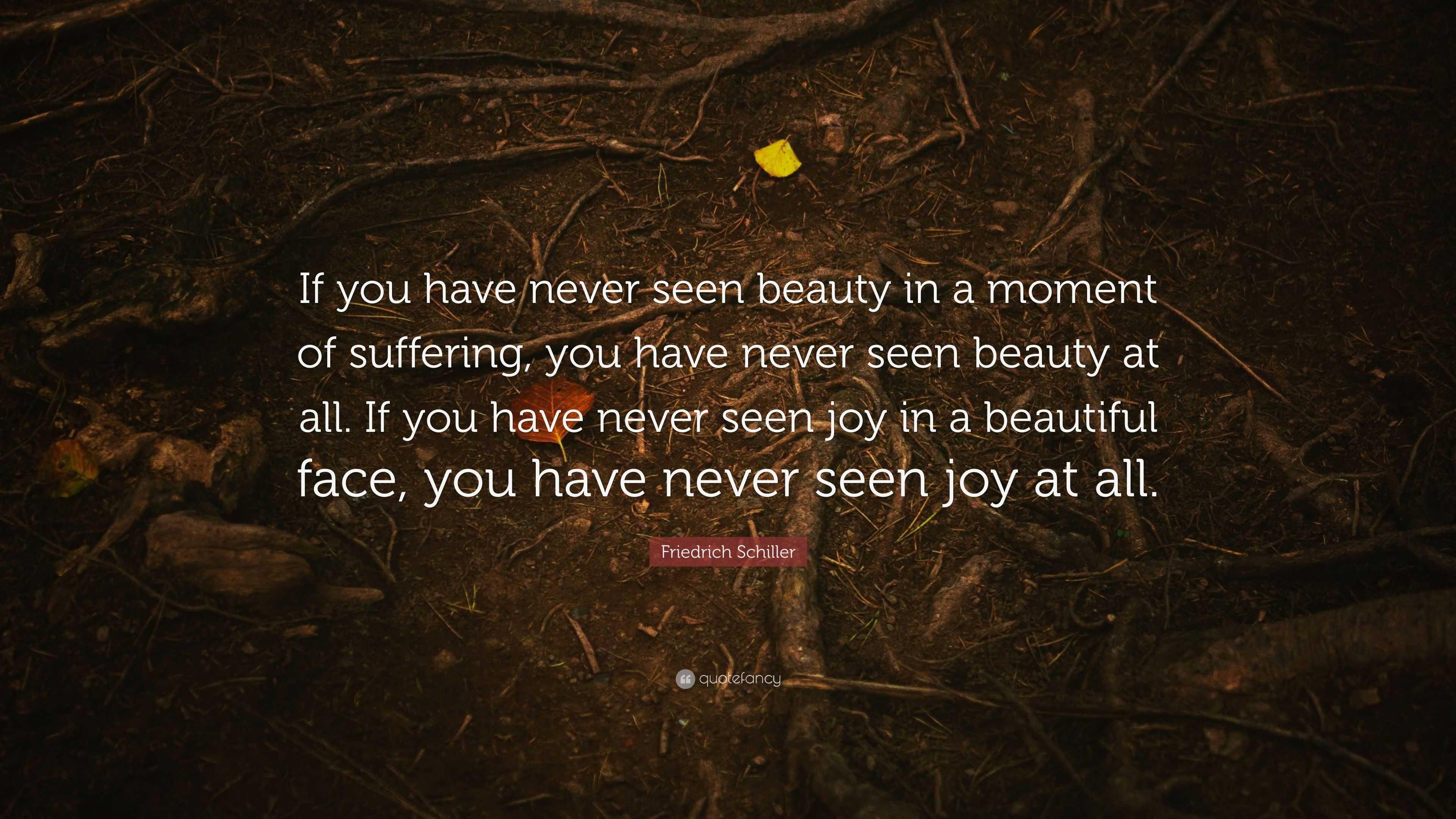 Friedrich Schiller Quote: “If you have never seen beauty in a moment of ...