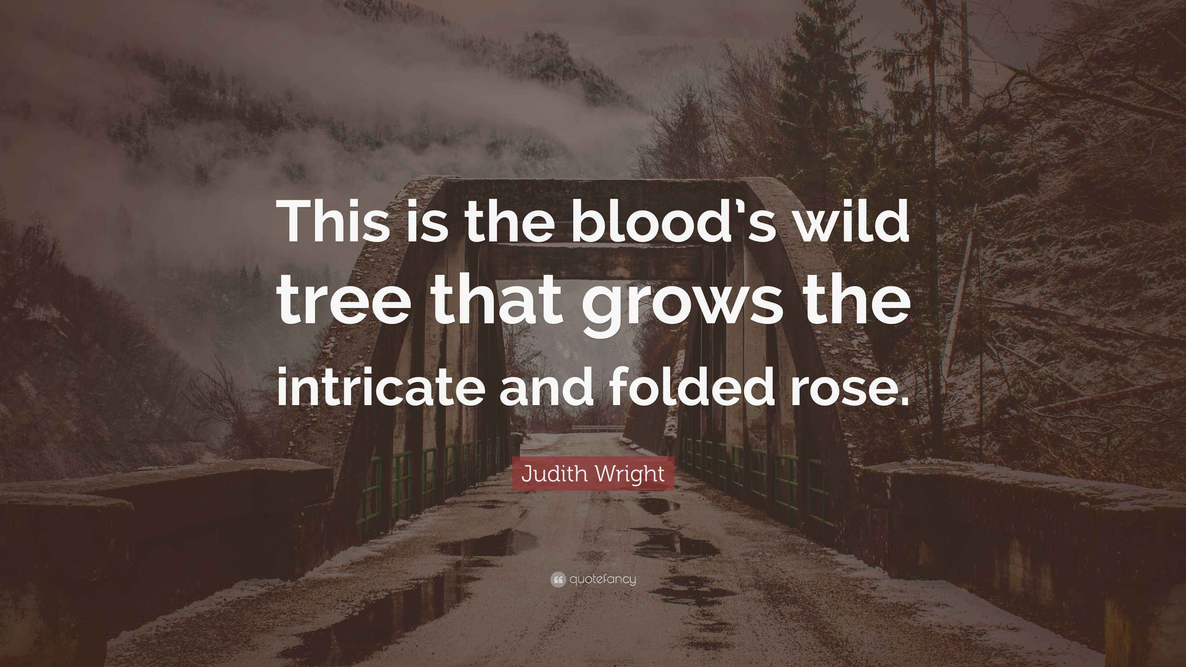 Judith Wright Quote “This is the blood’s wild tree that grows the