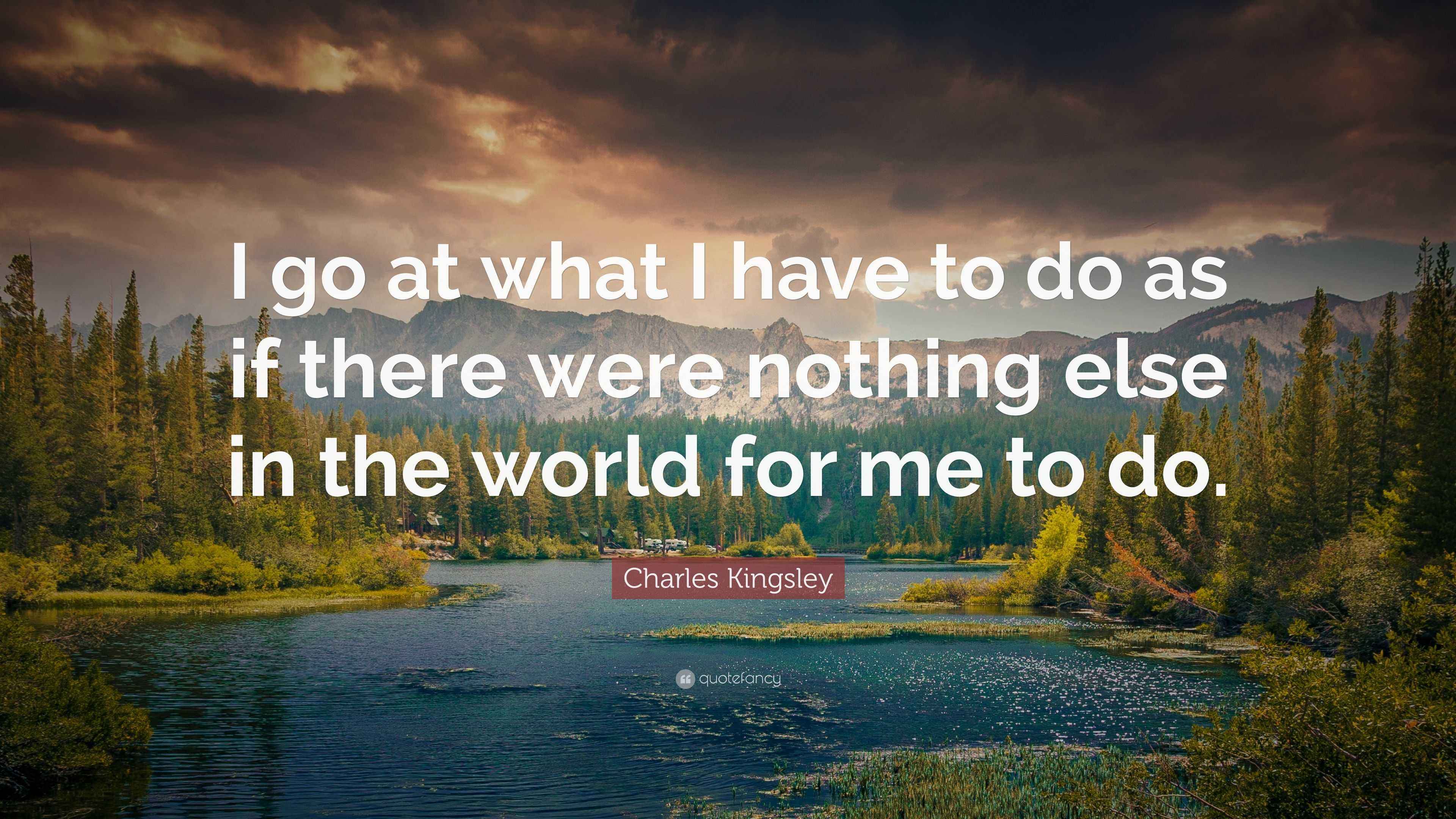 Charles Kingsley Quote: “I go at what I have to do as if there were ...