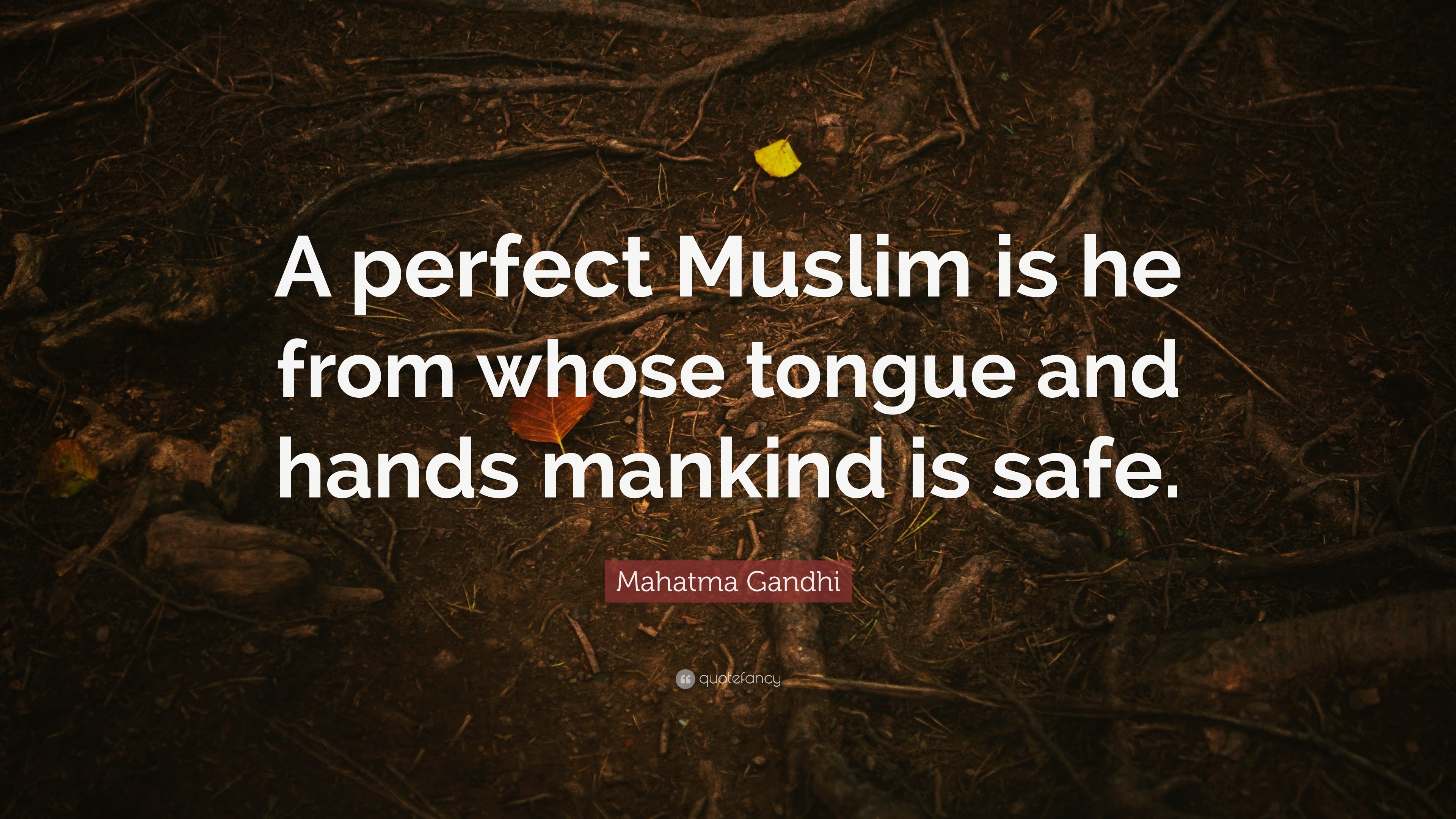 Mahatma Gandhi Quote: “A perfect Muslim is he from whose tongue and ...