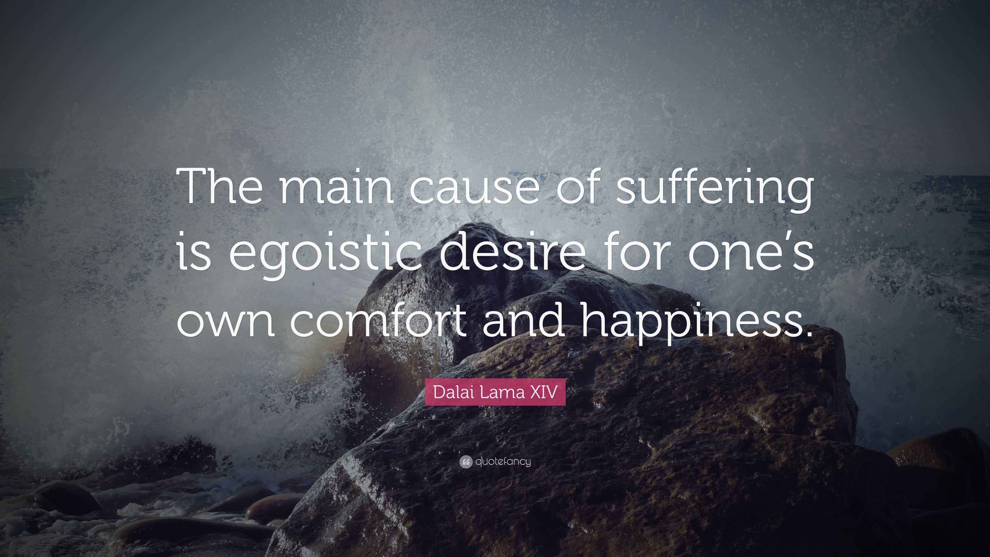 Dalai Lama XIV Quote “The main cause of suffering is egoistic desire