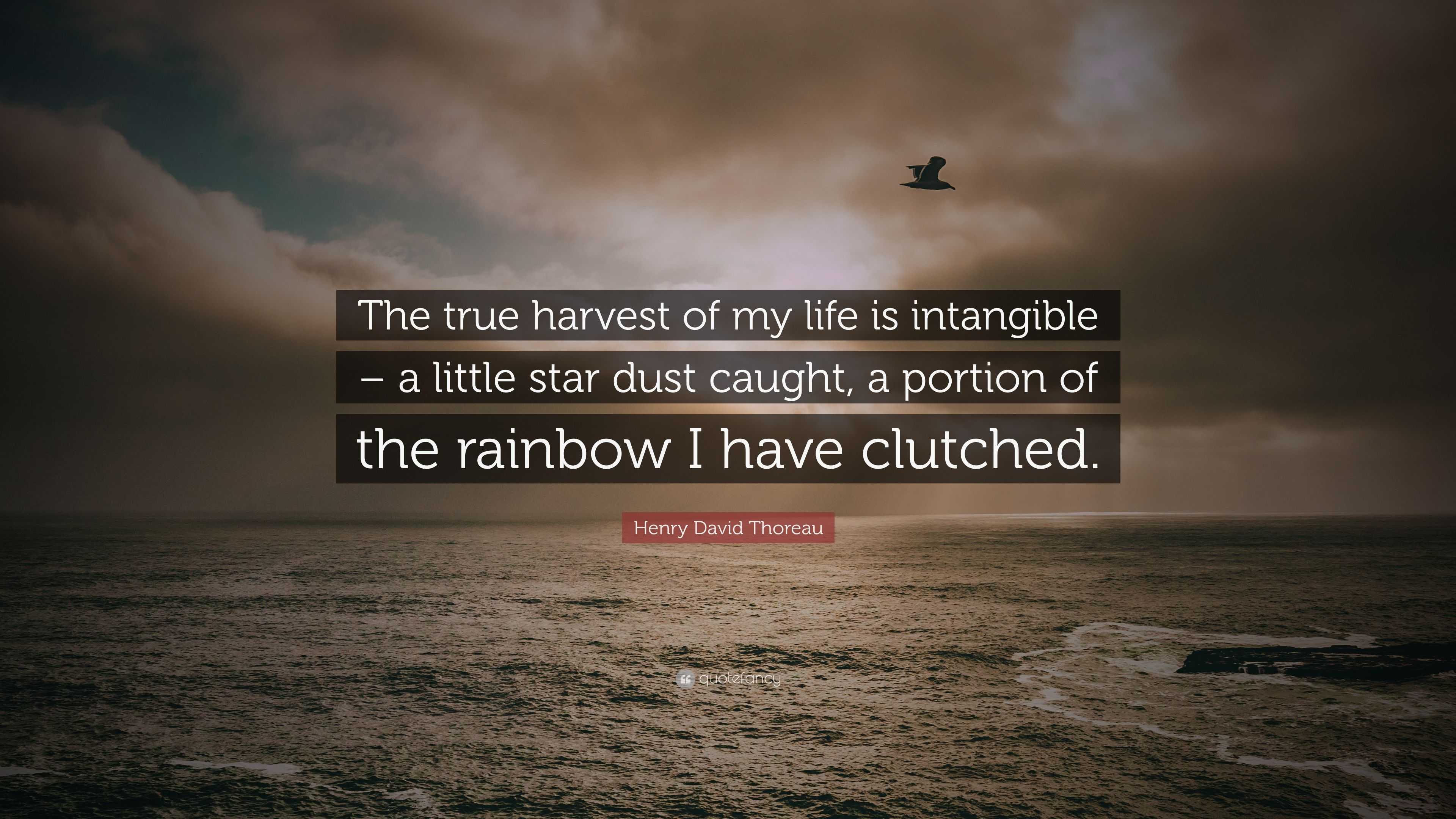 life is a rainbow quotes henry david thoreau quote u201cthe true harvest of my life is