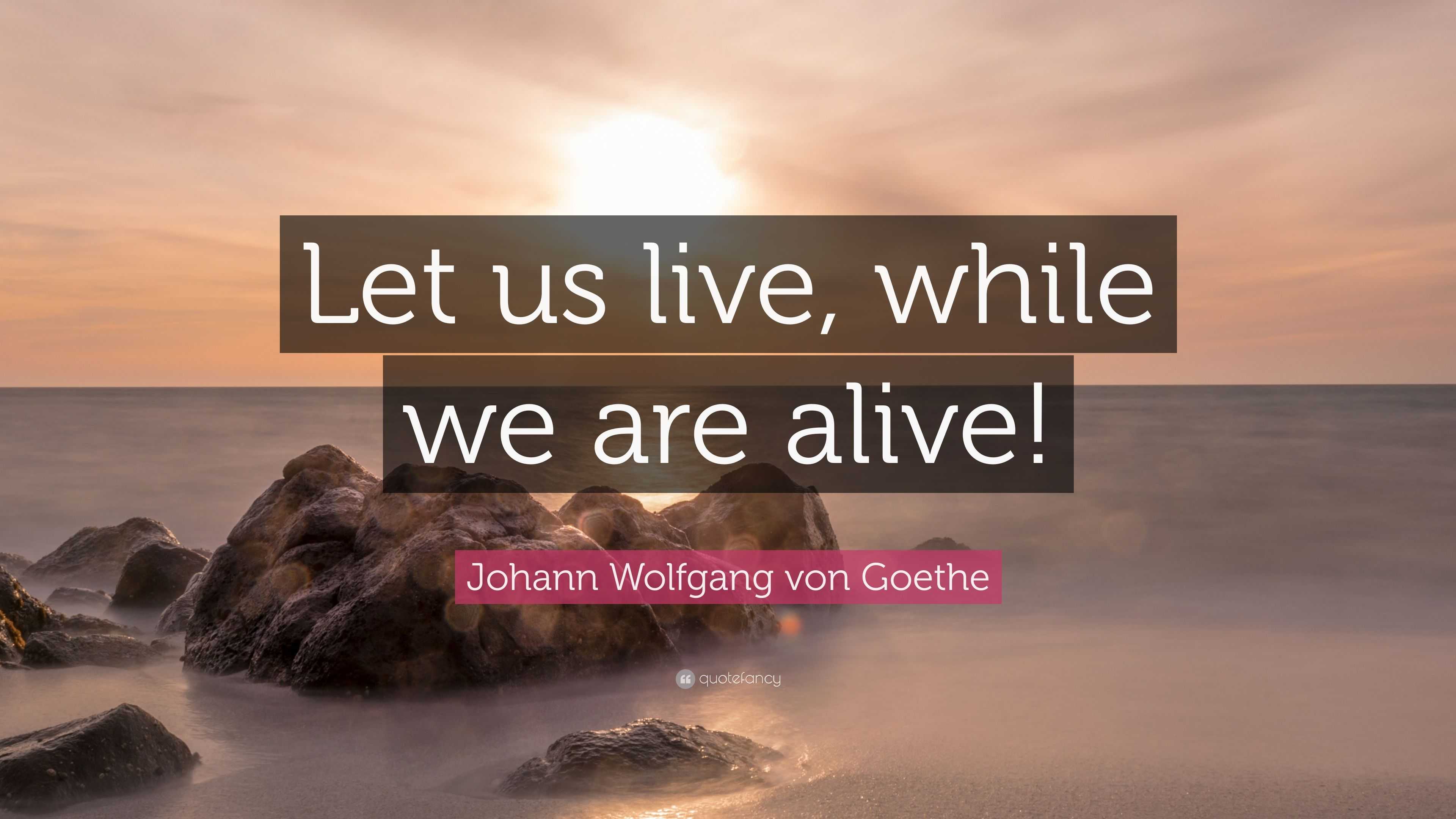 Johann Wolfgang Von Goethe Quote Let Us Live While We Are Alive