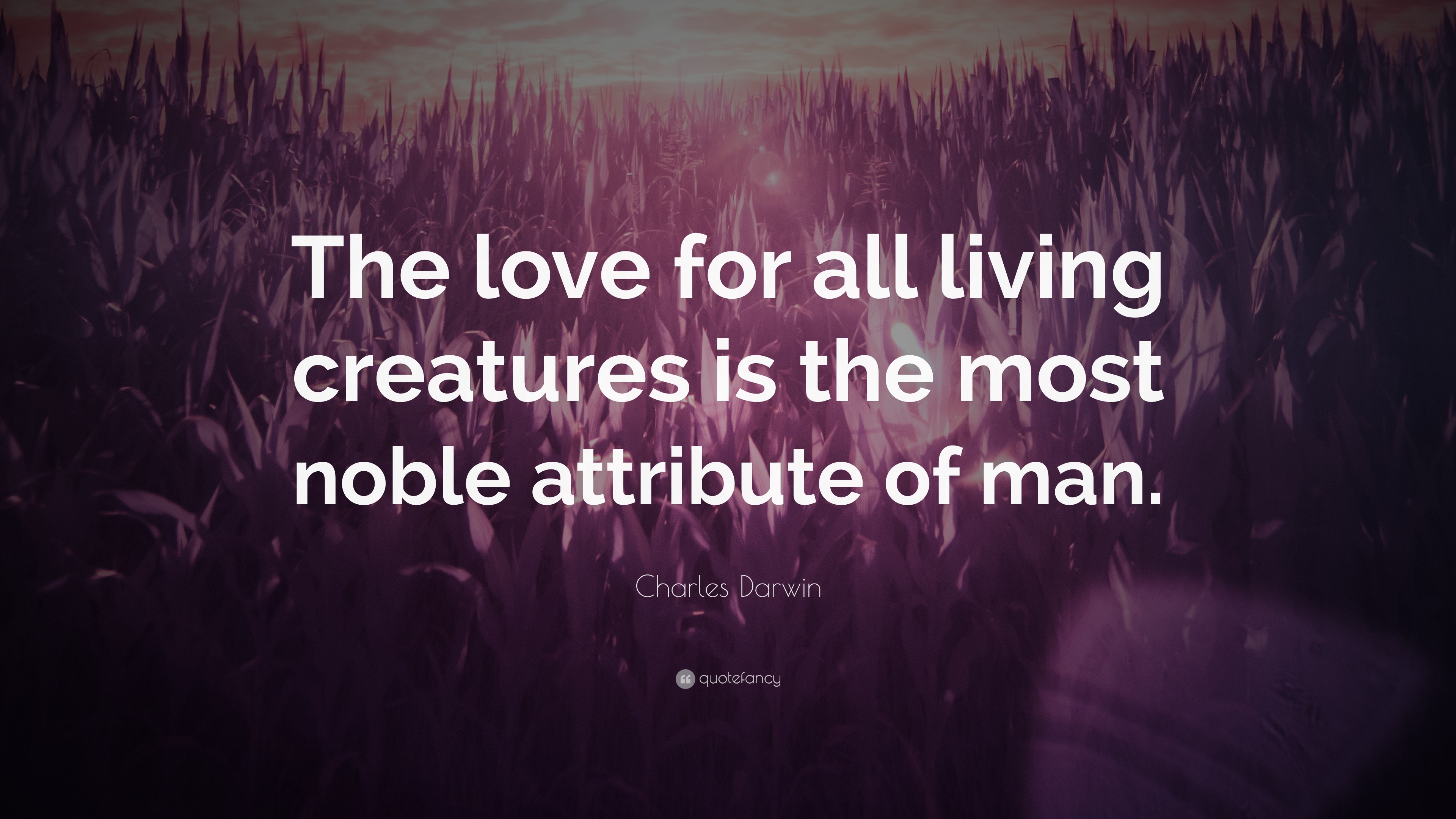 Charles Darwin Quote: 