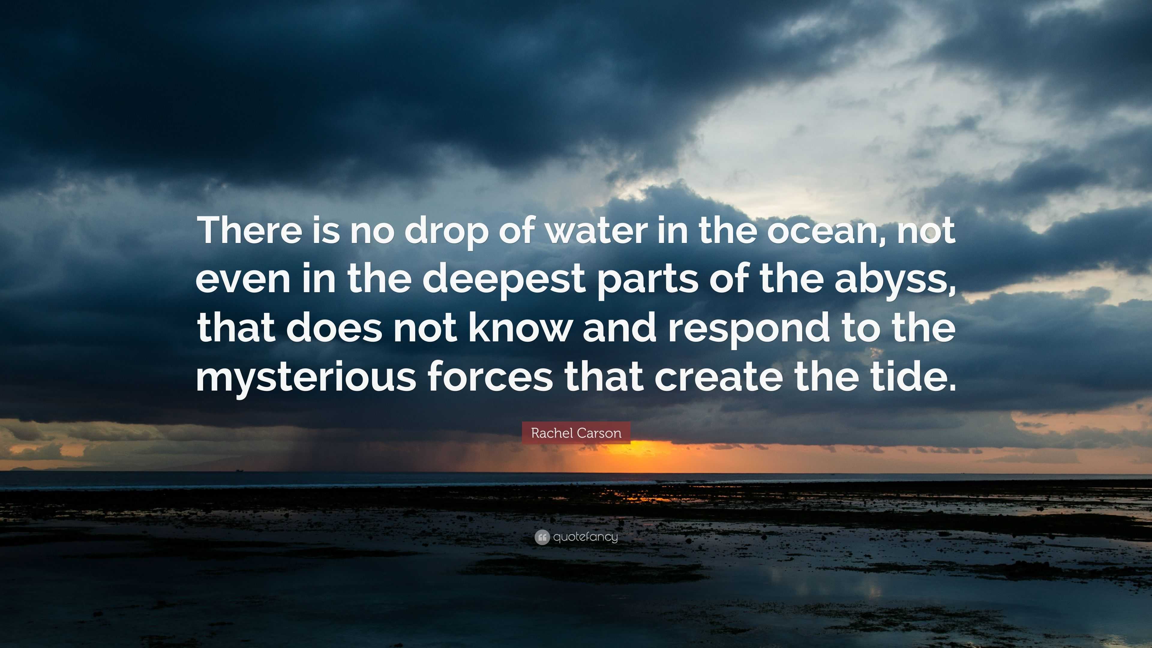 Rachel Carson Quote: “There is no drop of water in the ocean, not even ...