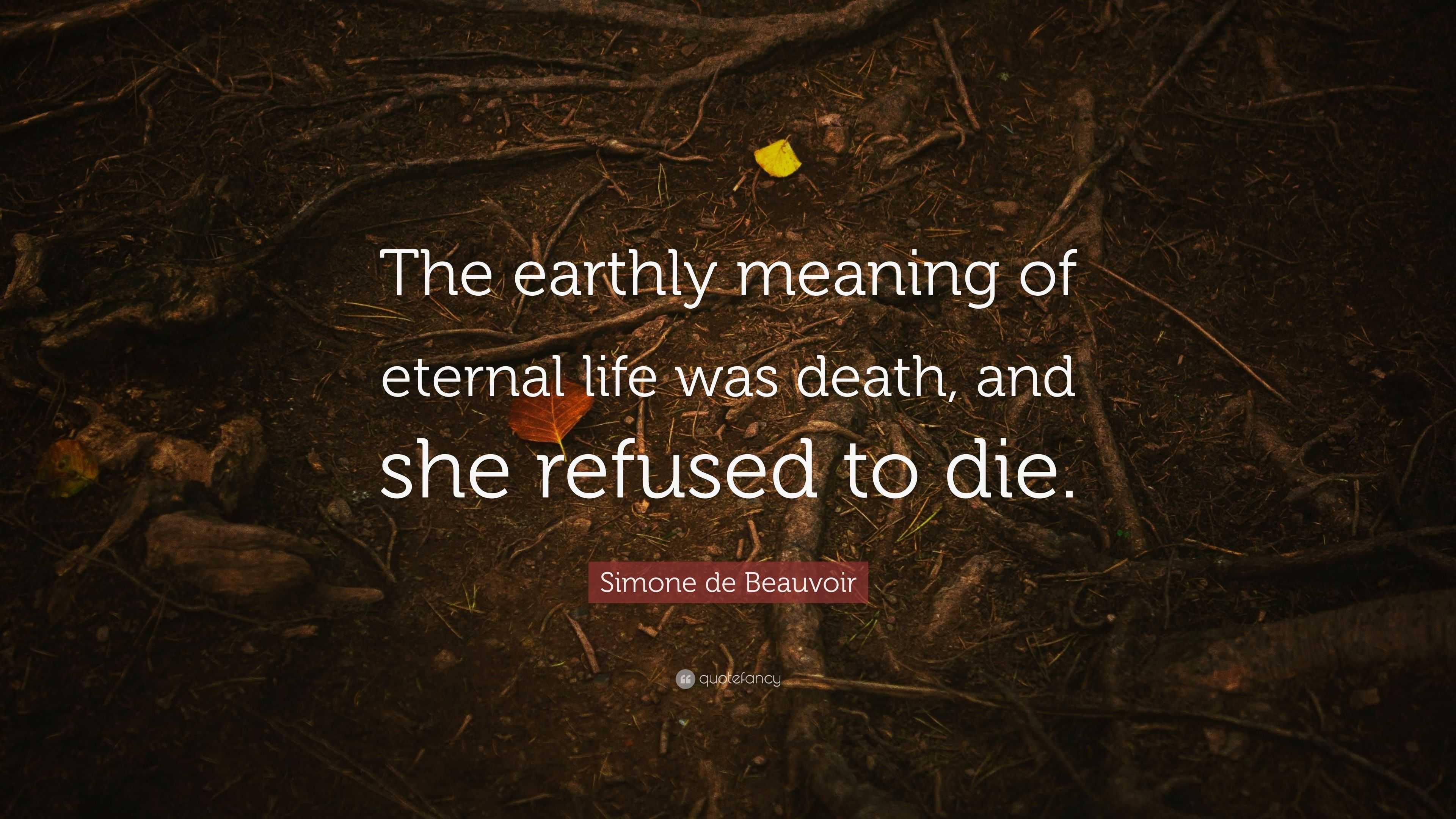 simone-de-beauvoir-quote-the-earthly-meaning-of-eternal-life-was