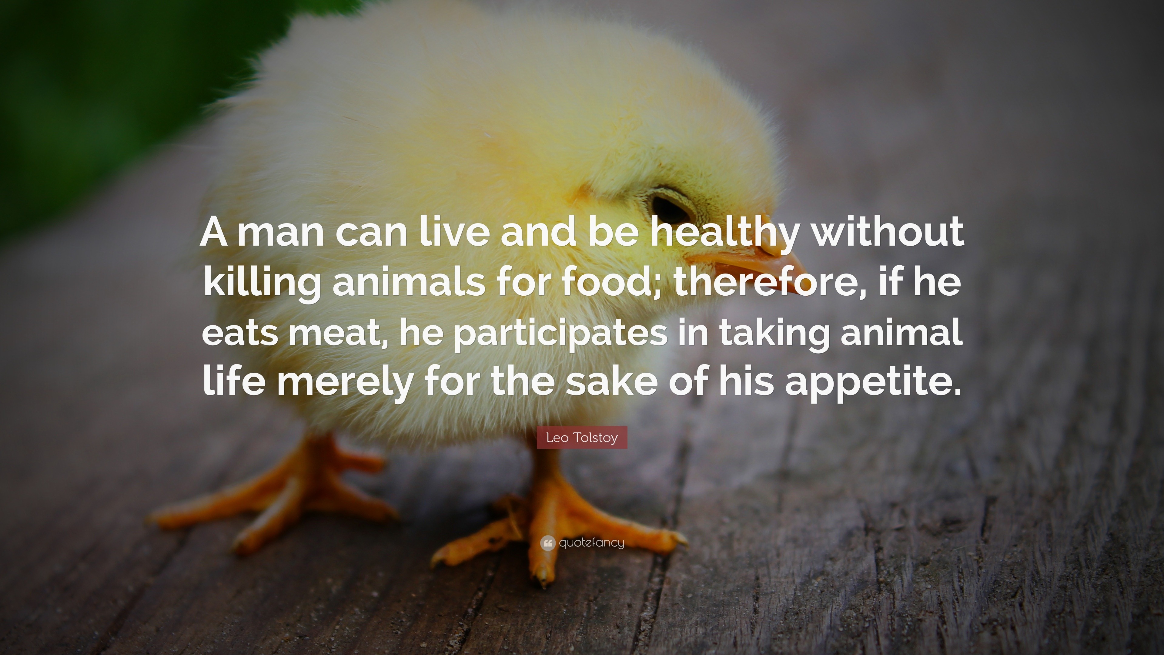 Leo Tolstoy Quote “A man can live and be healthy without killing animals for