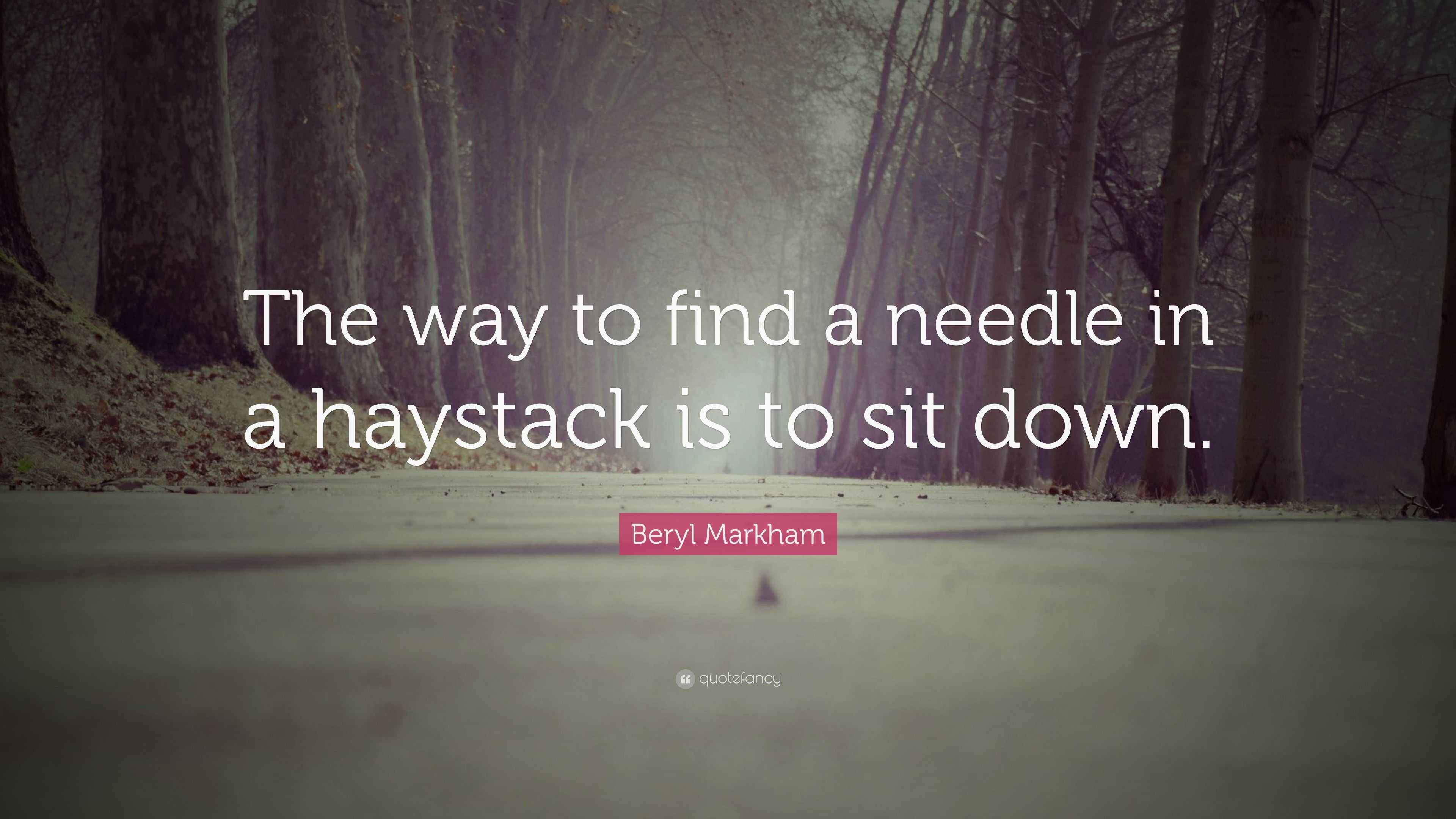 Beryl Markham Quote “The way to find a needle in a haystack is to sit