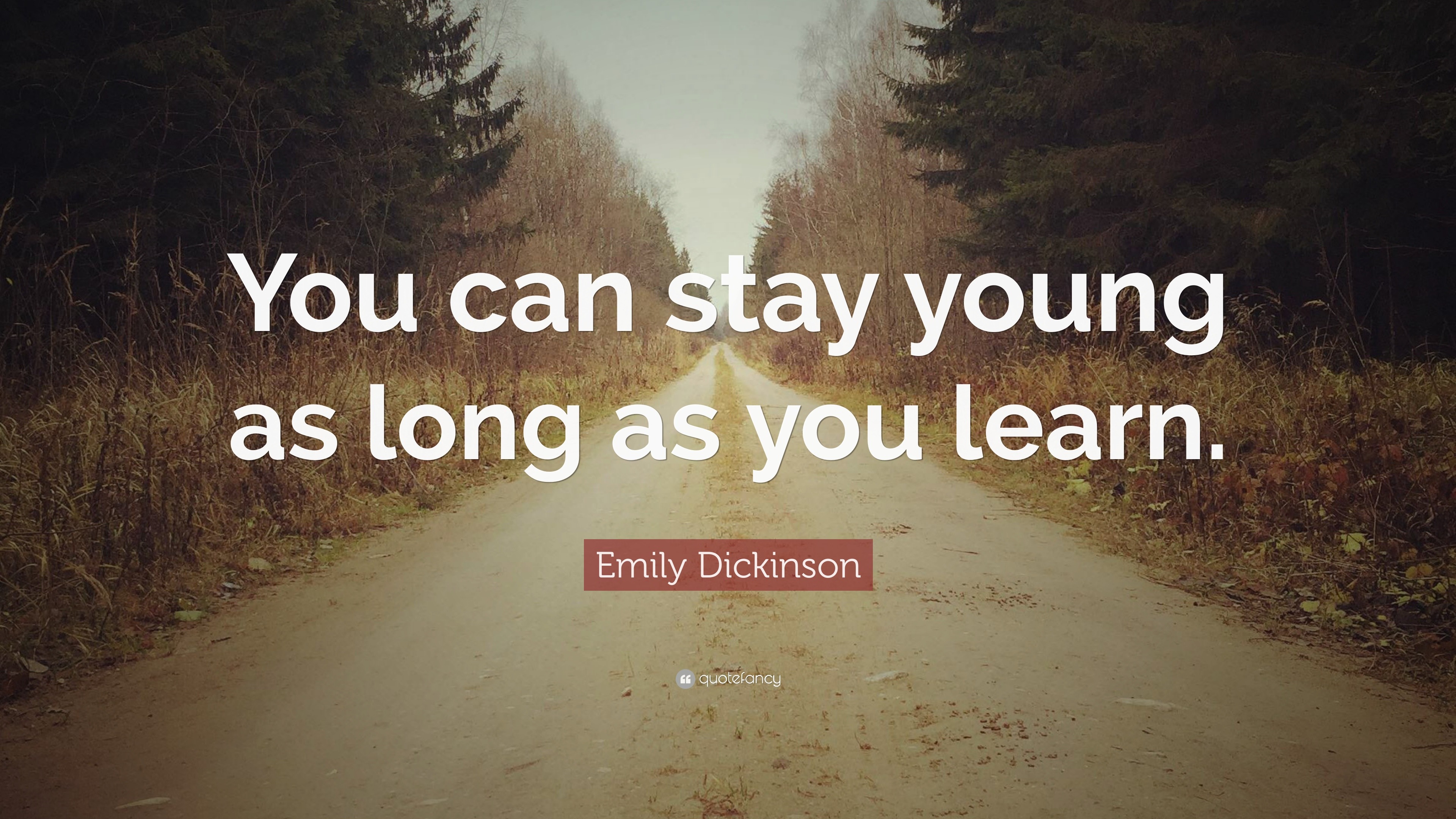 Emily Dickinson Quote: “you Can Stay Young As Long As You Learn.”