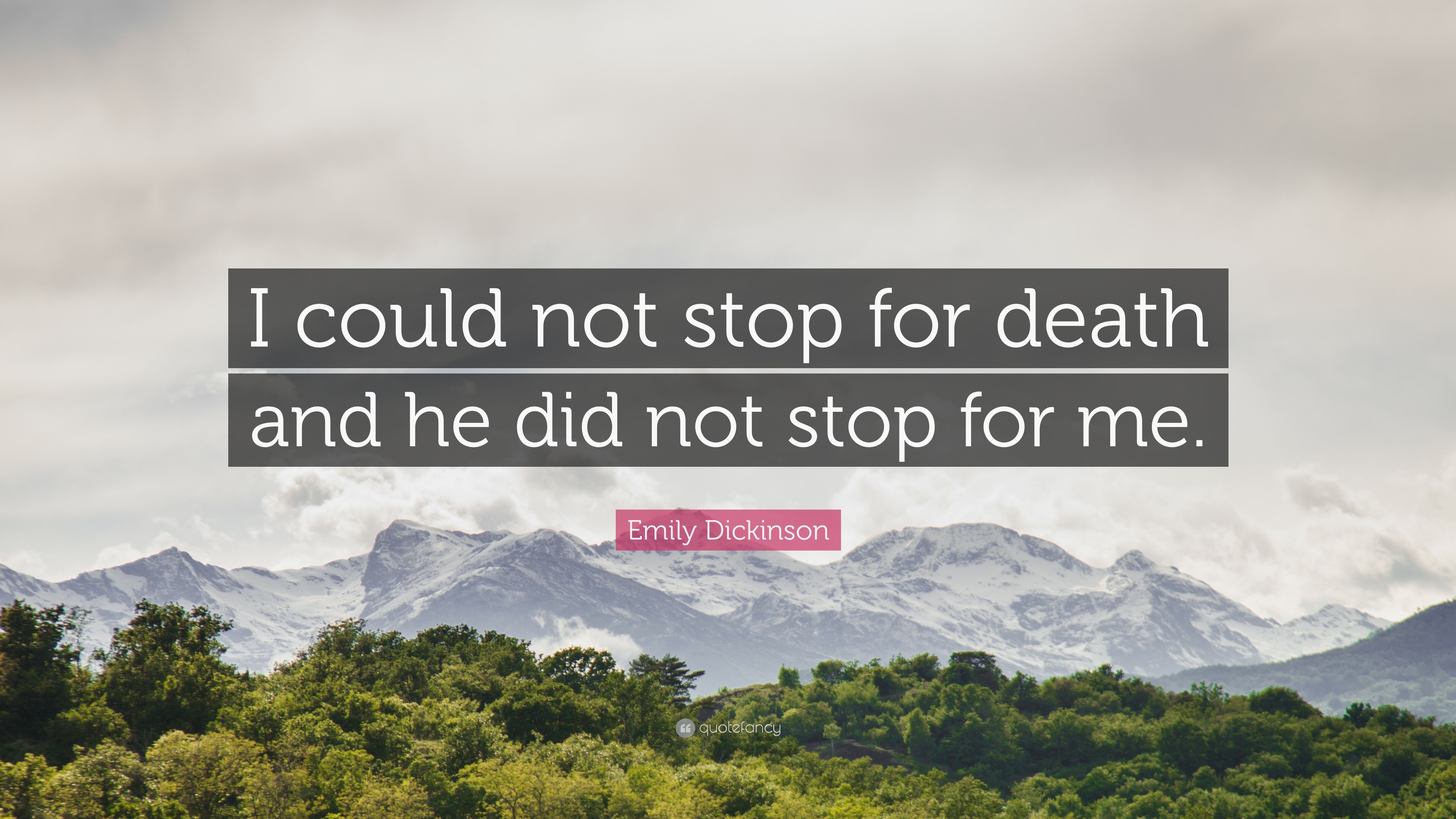 Emily Dickinson Quote: “I could not stop for death and he did not stop ...