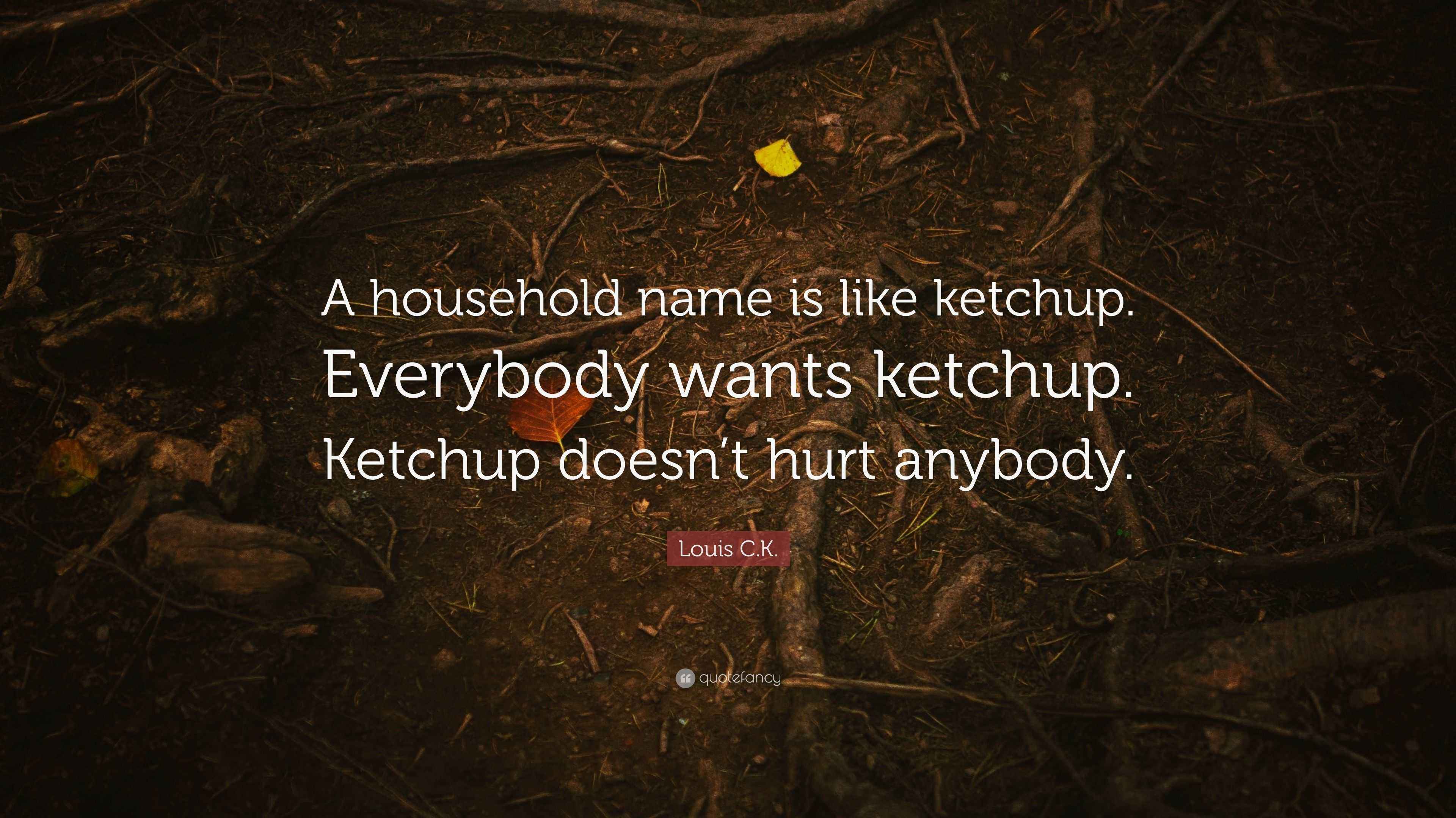 Louis C.K. Quote “A household name is like ketchup. Everybody wants ketchup. Ketchup doesn’t