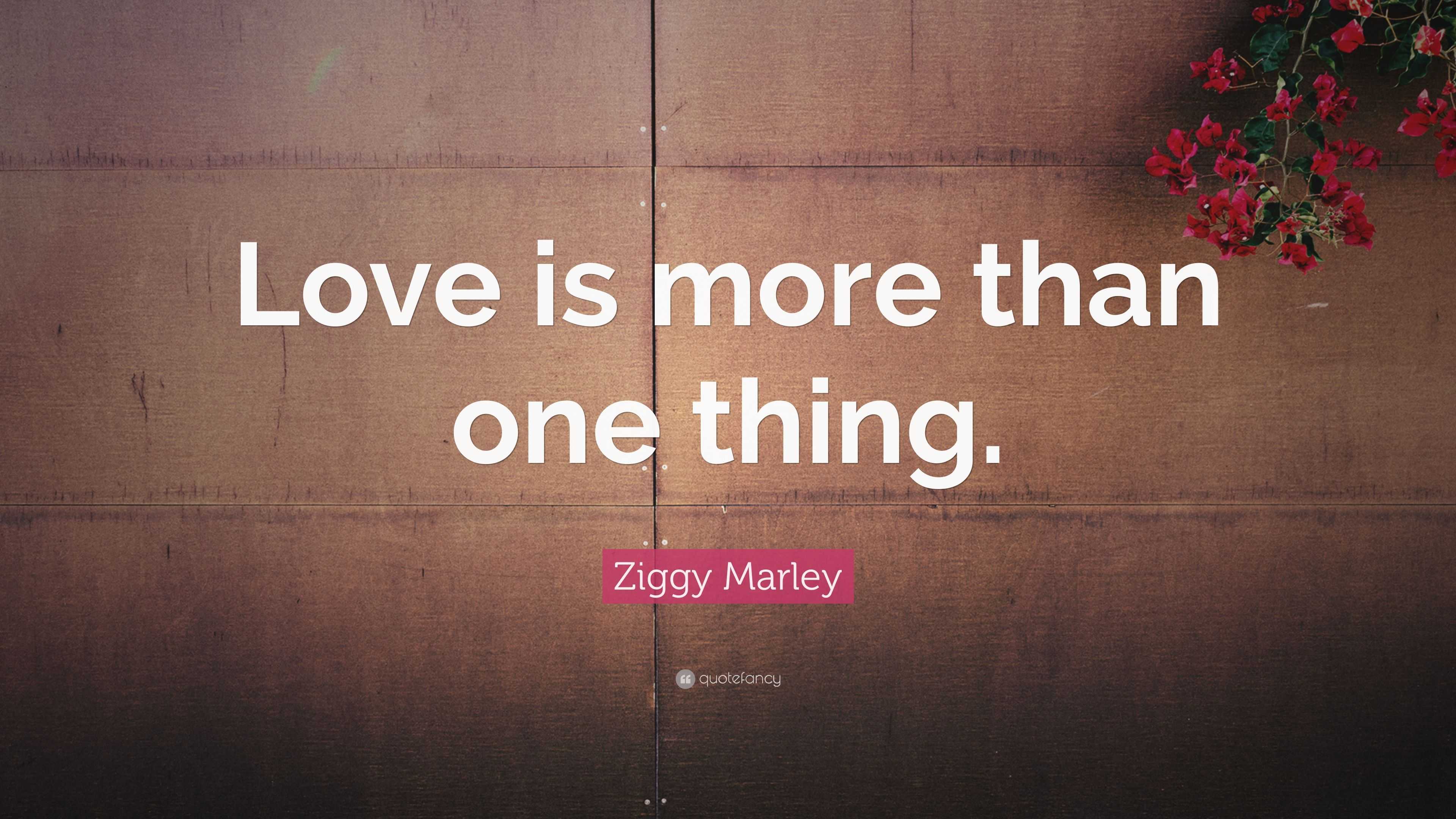 Ziggy Marley Quote “love Is More Than One Thing” 5189