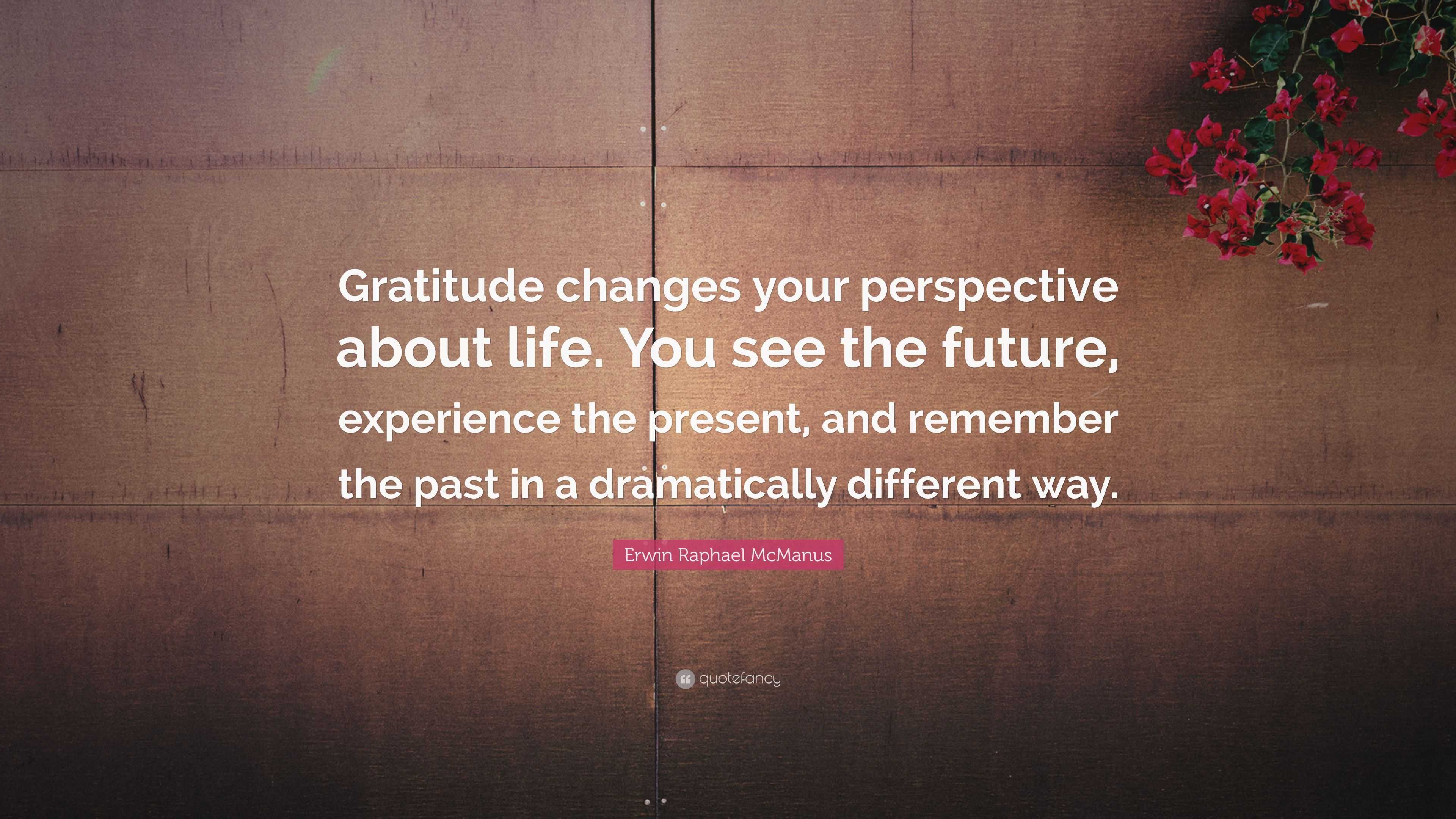 Erwin Raphael Mcmanus Quote “gratitude Changes Your Perspective About