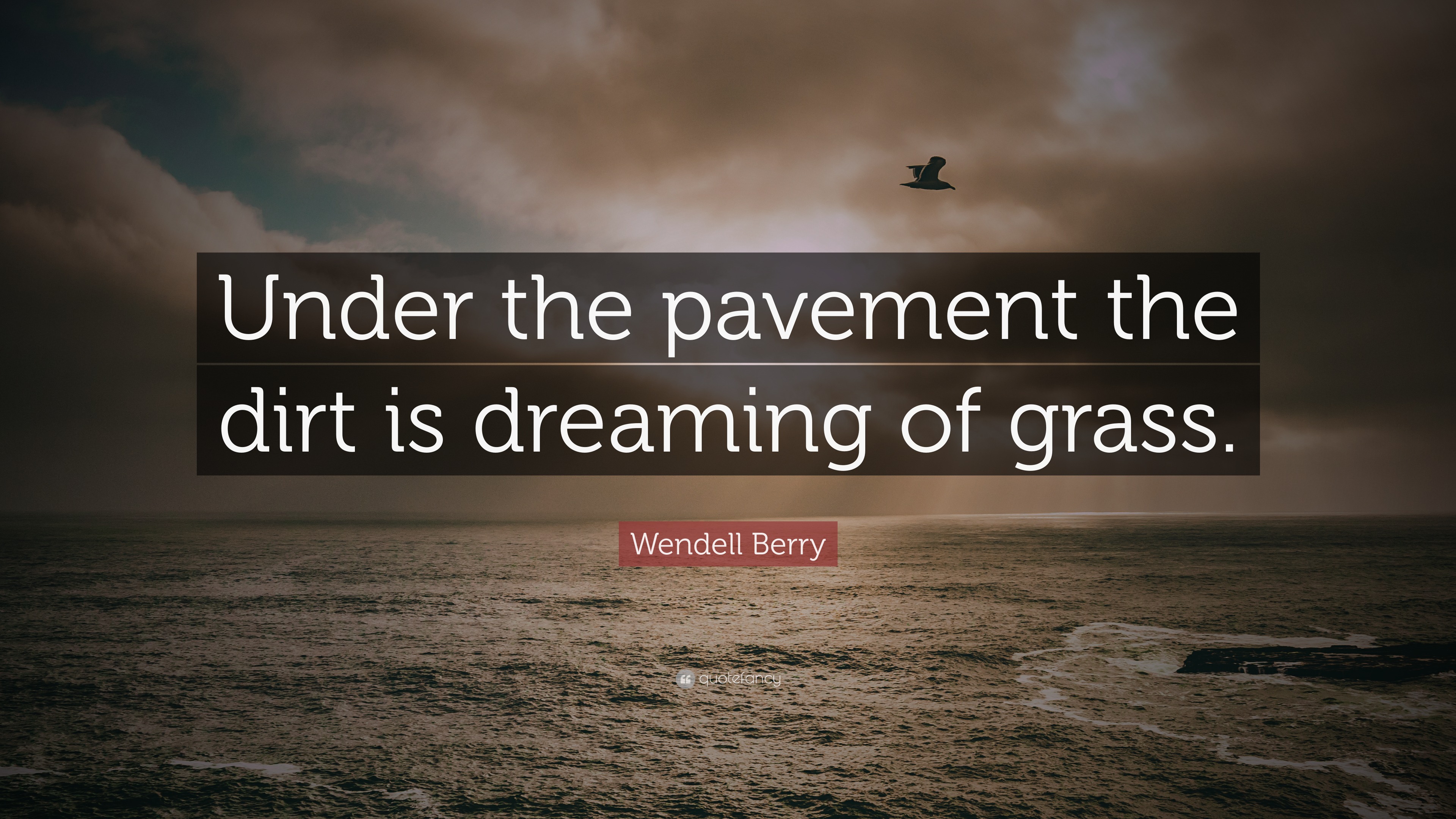 Wendell Berry Quote “Under the pavement the dirt is dreaming of grass.”