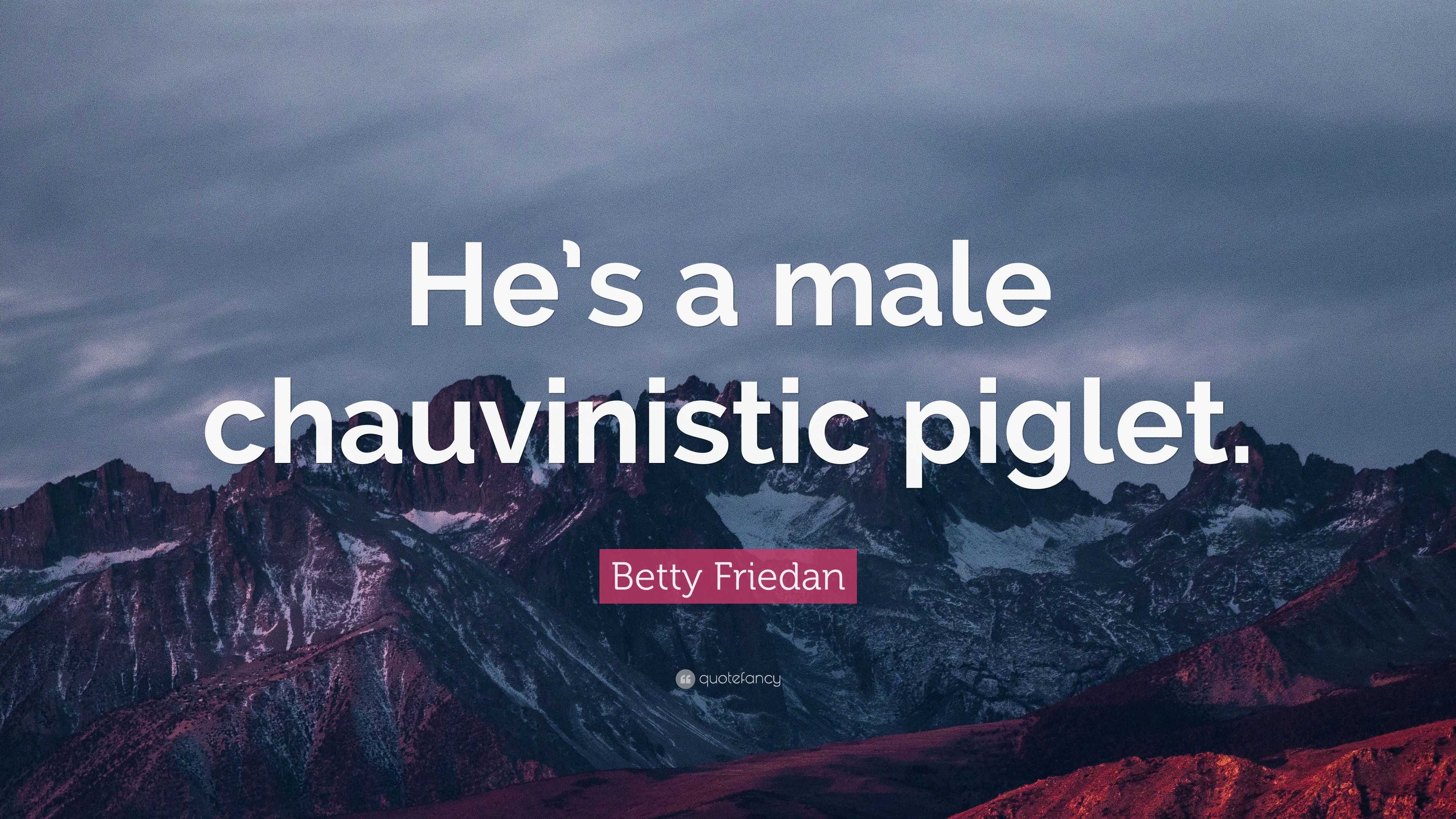 betty-friedan-quote-he-s-a-male-chauvinistic-piglet