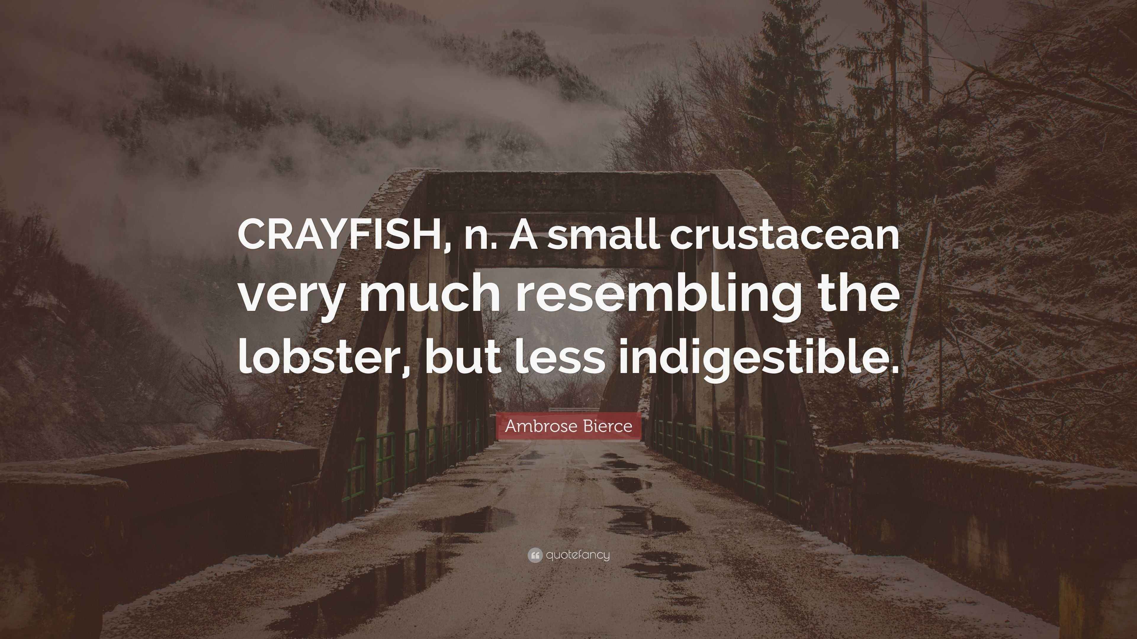 Ambrose Bierce Quote “CRAYFISH, n. A small crustacean very much