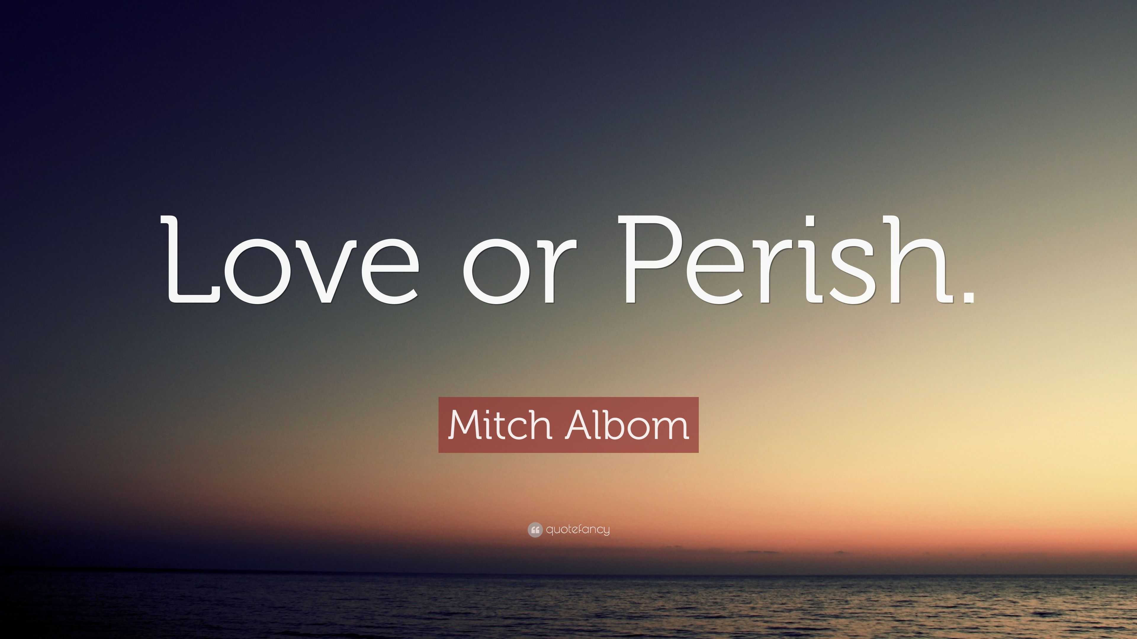 mitch-albom-quote-love-or-perish