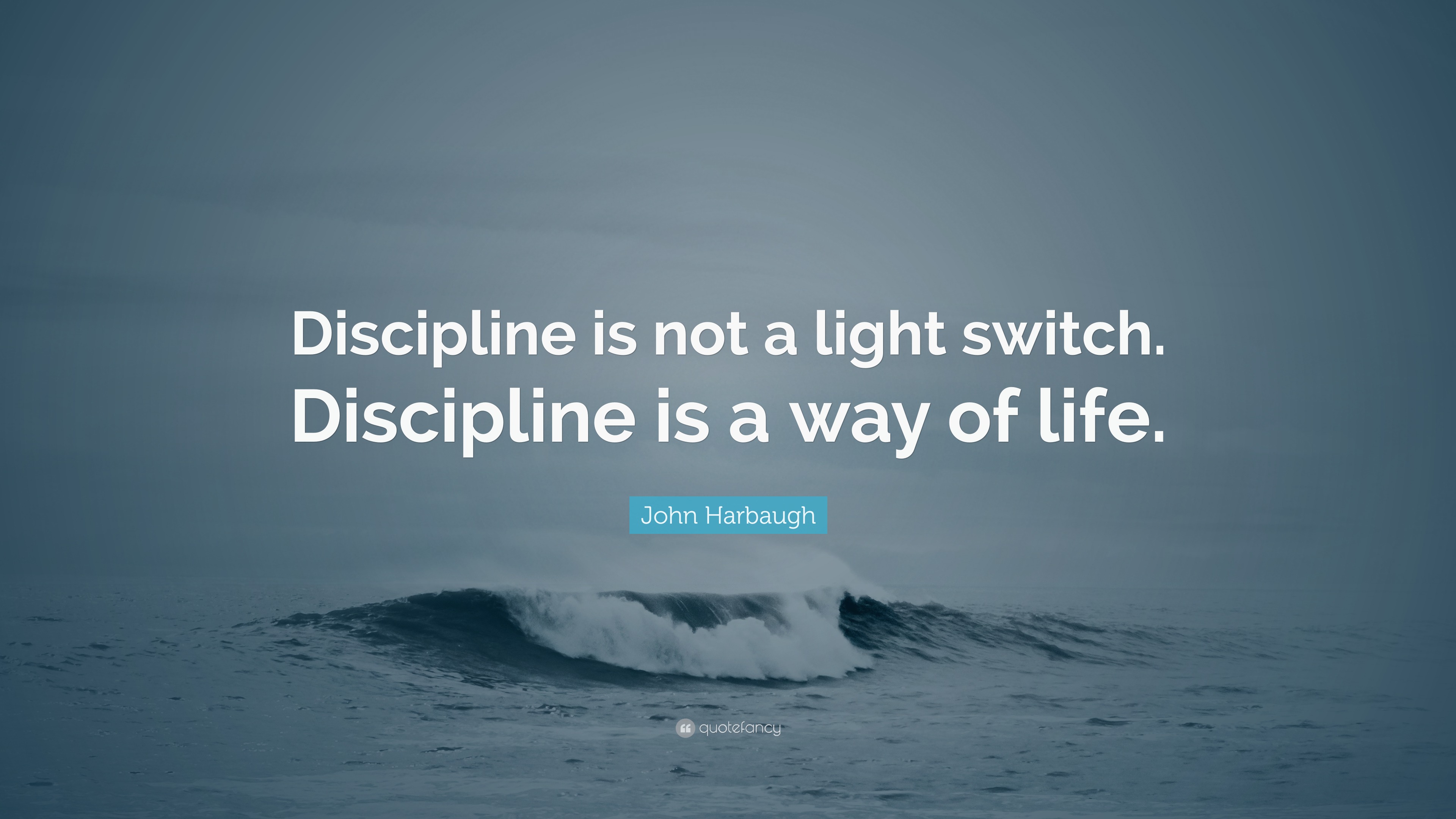 John Harbaugh Quote “Discipline is not a light switch. Discipline is a