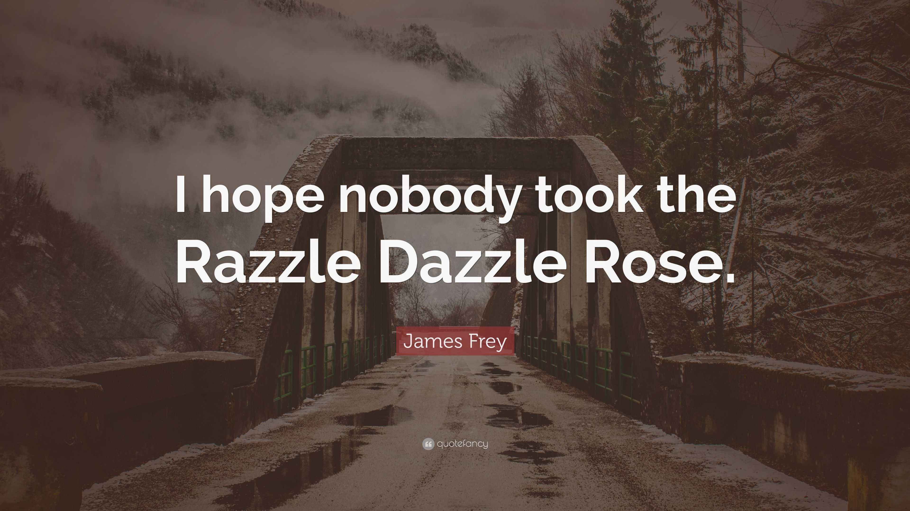 James Frey Quote “I hope nobody took the Razzle Dazzle Rose.”
