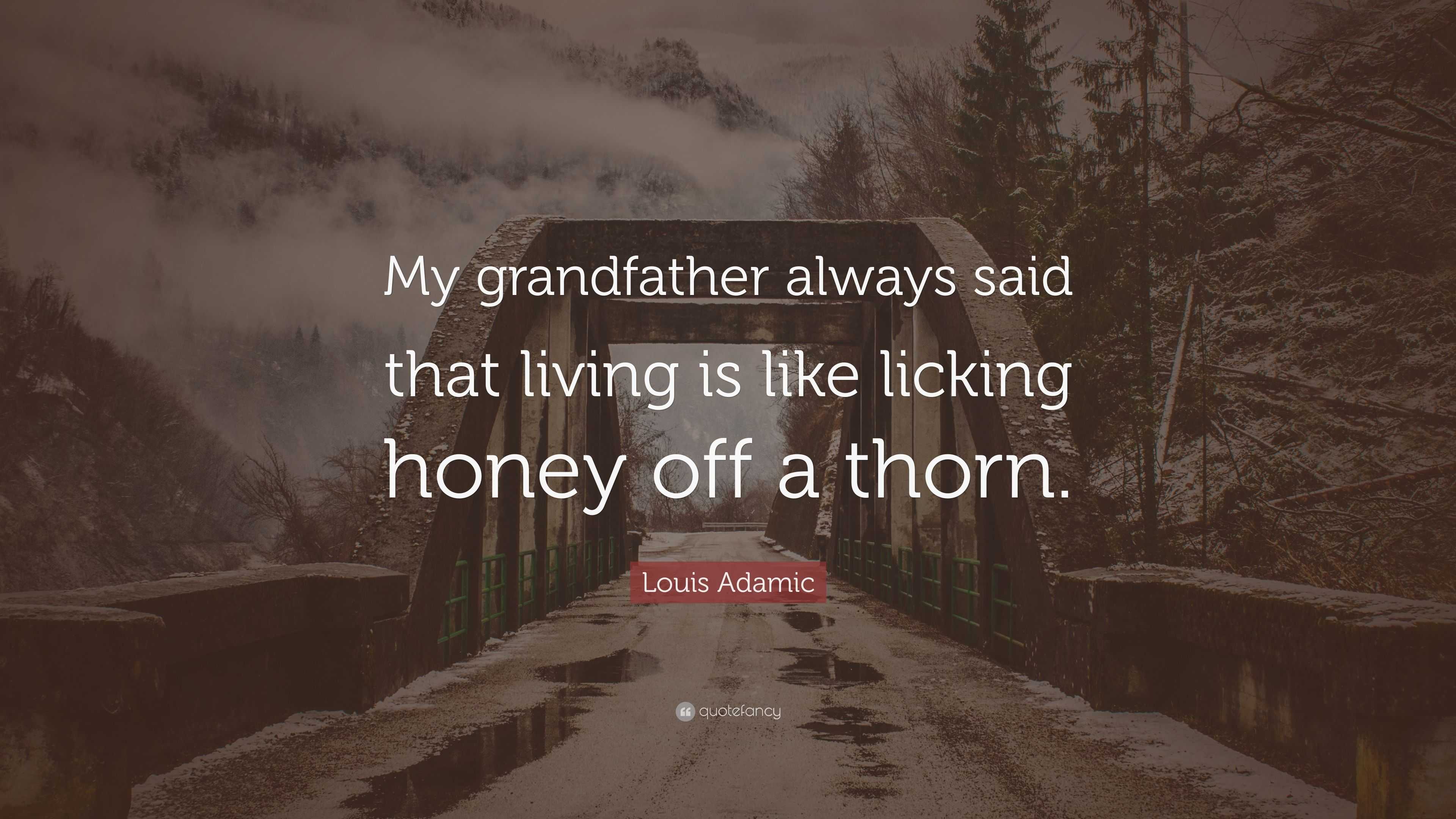 Louis Adamic Quote: “My grandfather always said that living is like ...