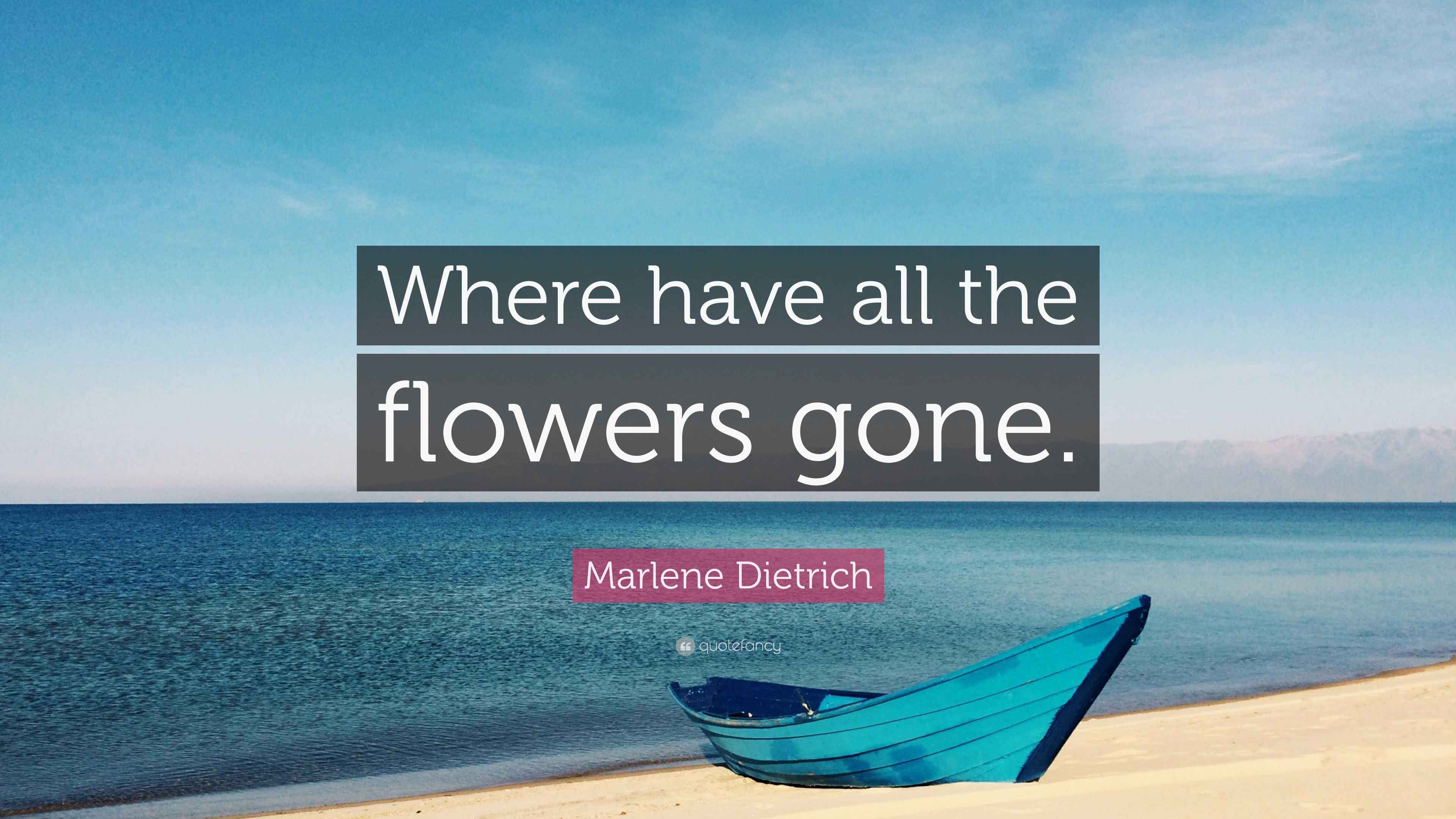 Marlene Dietrich Quote “Where have all the flowers gone.”