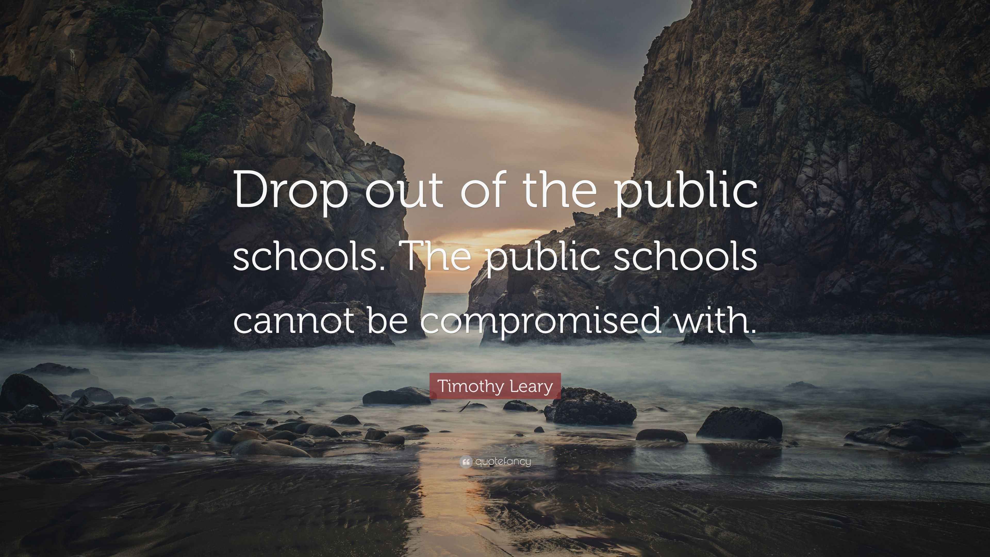 Timothy Leary Quote “Drop out of the public schools. The public