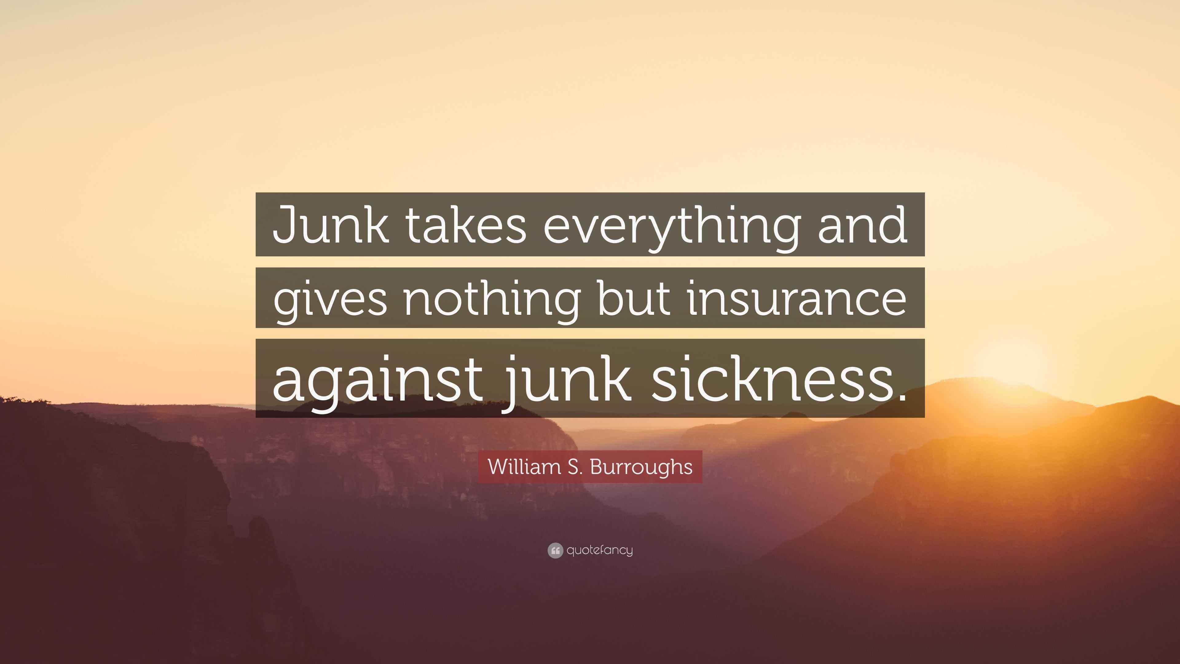 William S. Burroughs Quote: “Junk takes everything and gives nothing