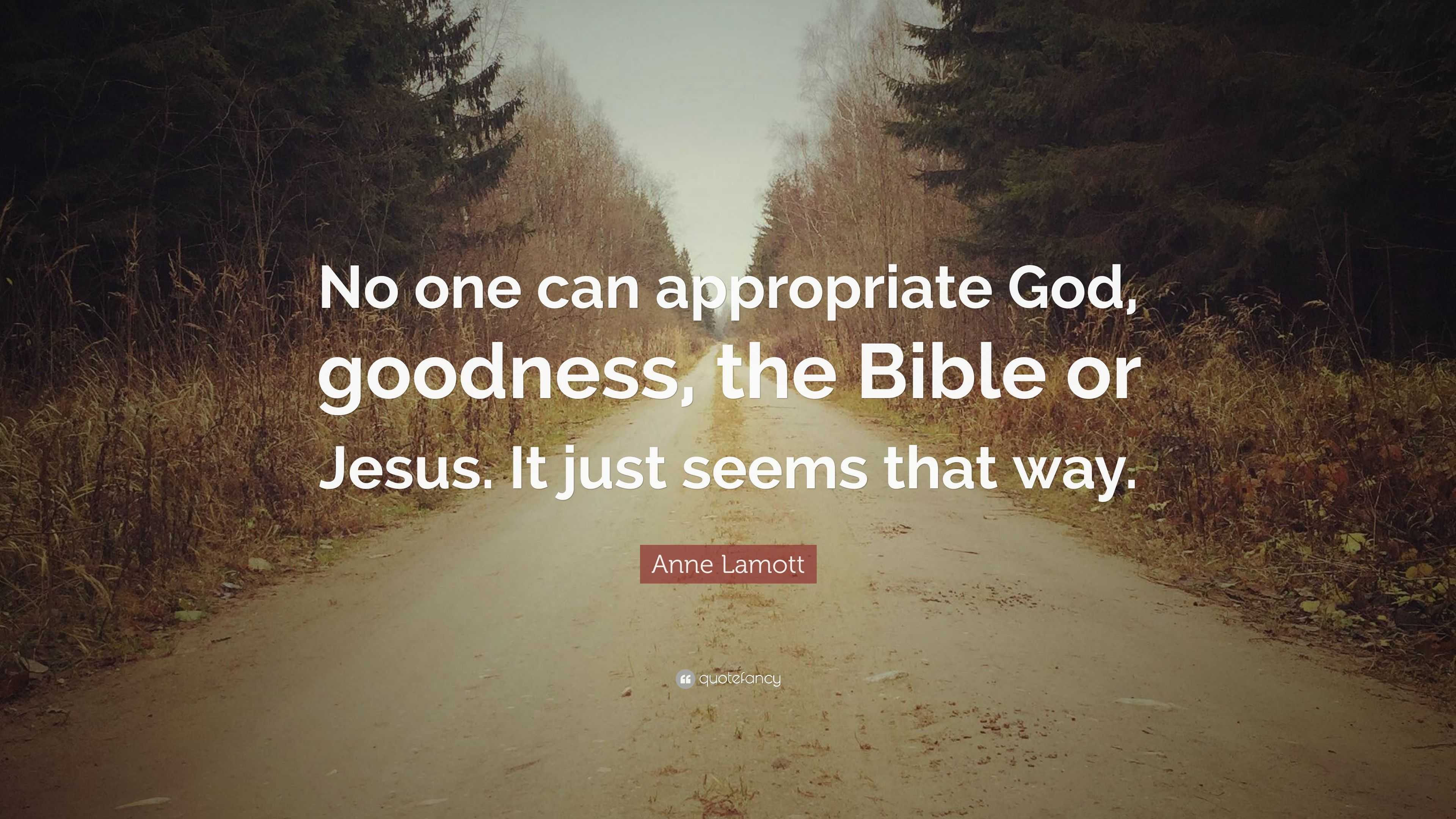 Anne Lamott Quote: “No one can appropriate God, goodness, the Bible or ...