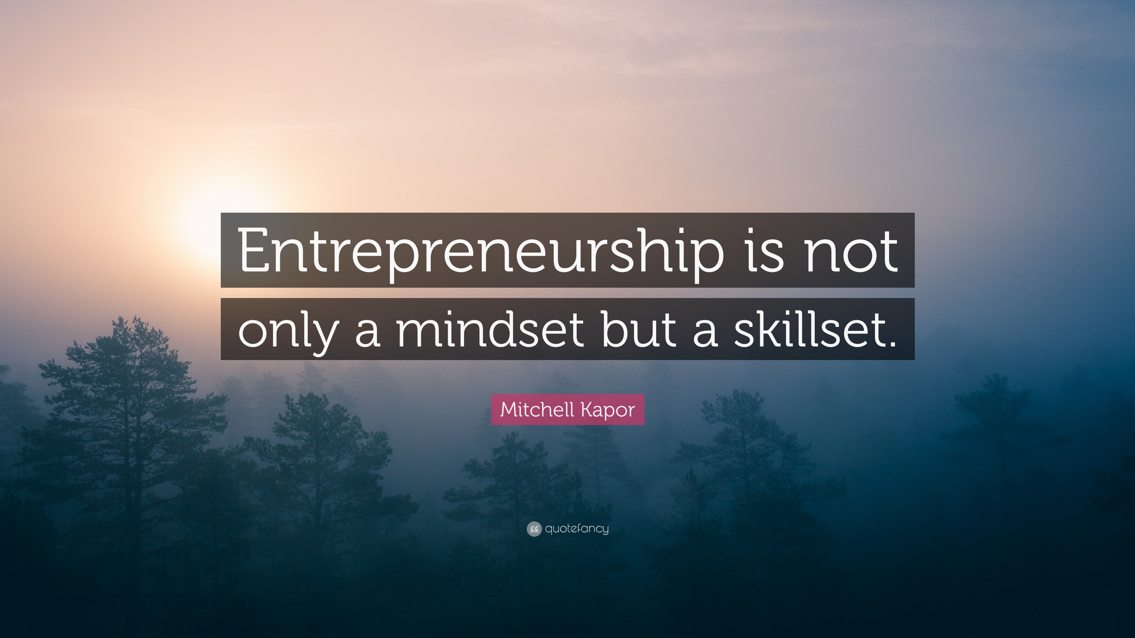 Mitchell Kapor Quote: “Entrepreneurship is not only a mindset but a