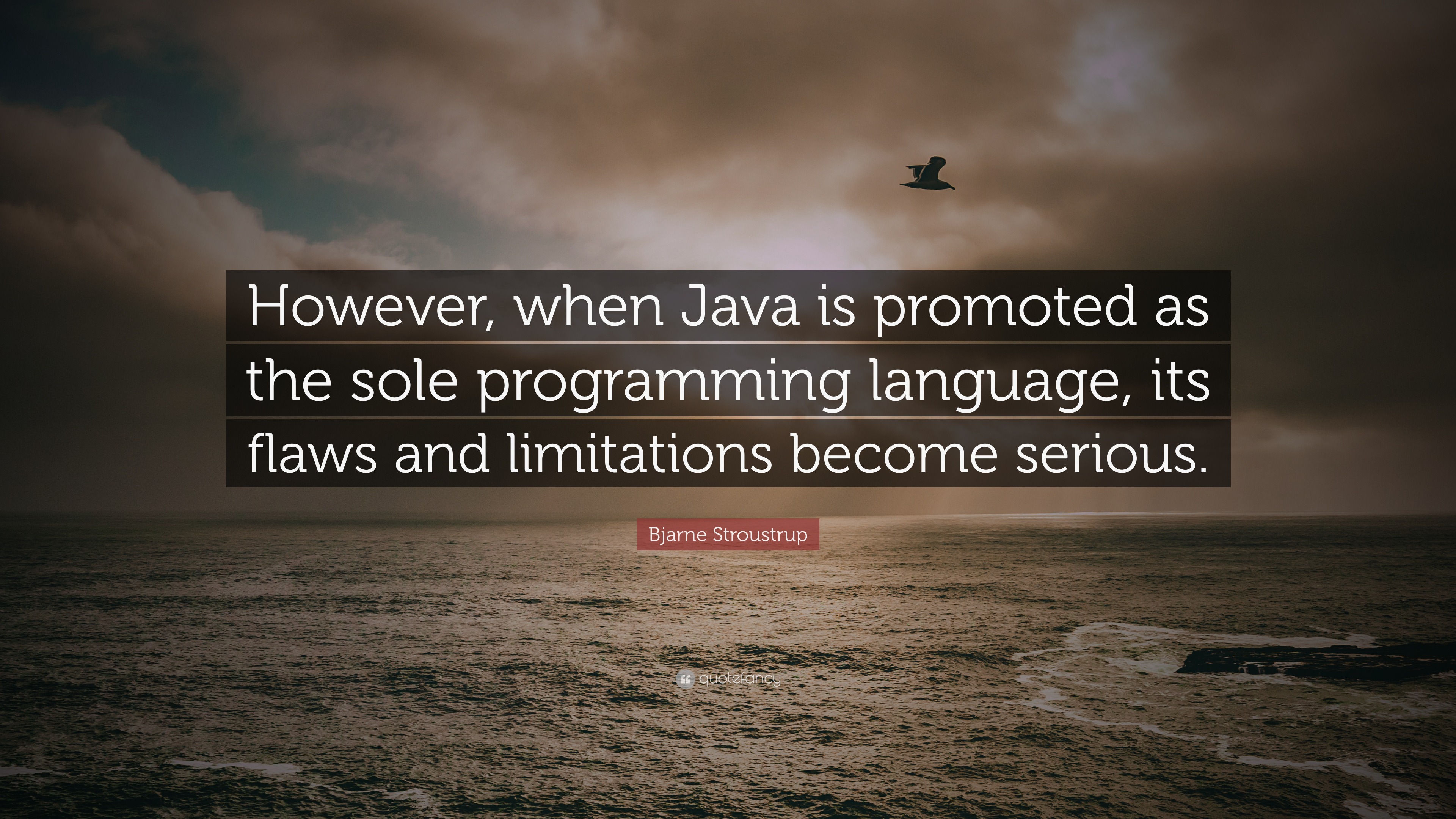Java Quote / Java development without a little heresy would be a dull