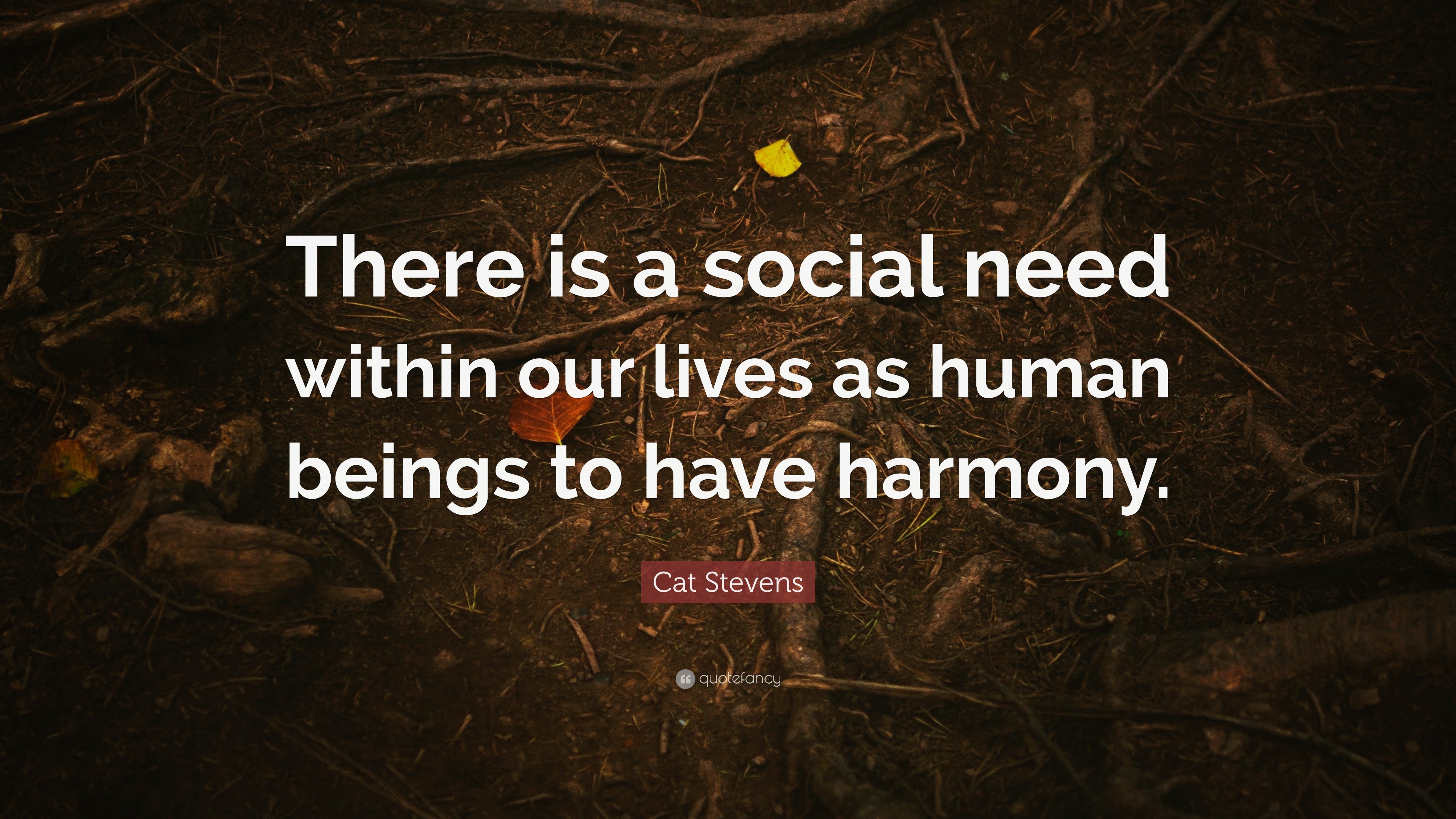 Cat Stevens Quote “There is a social need within our lives as human