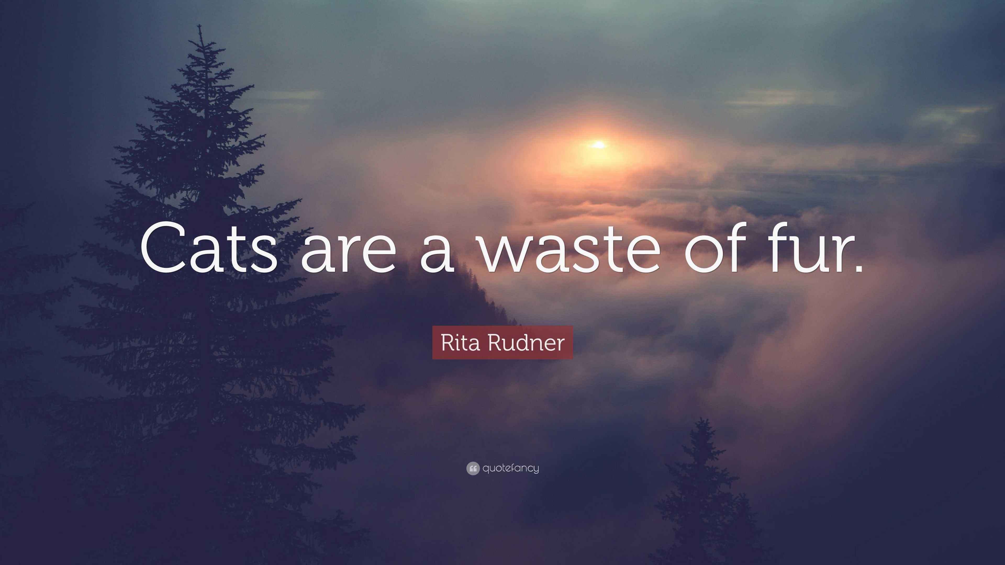 Rita Rudner Quote “Cats are a waste of fur.”