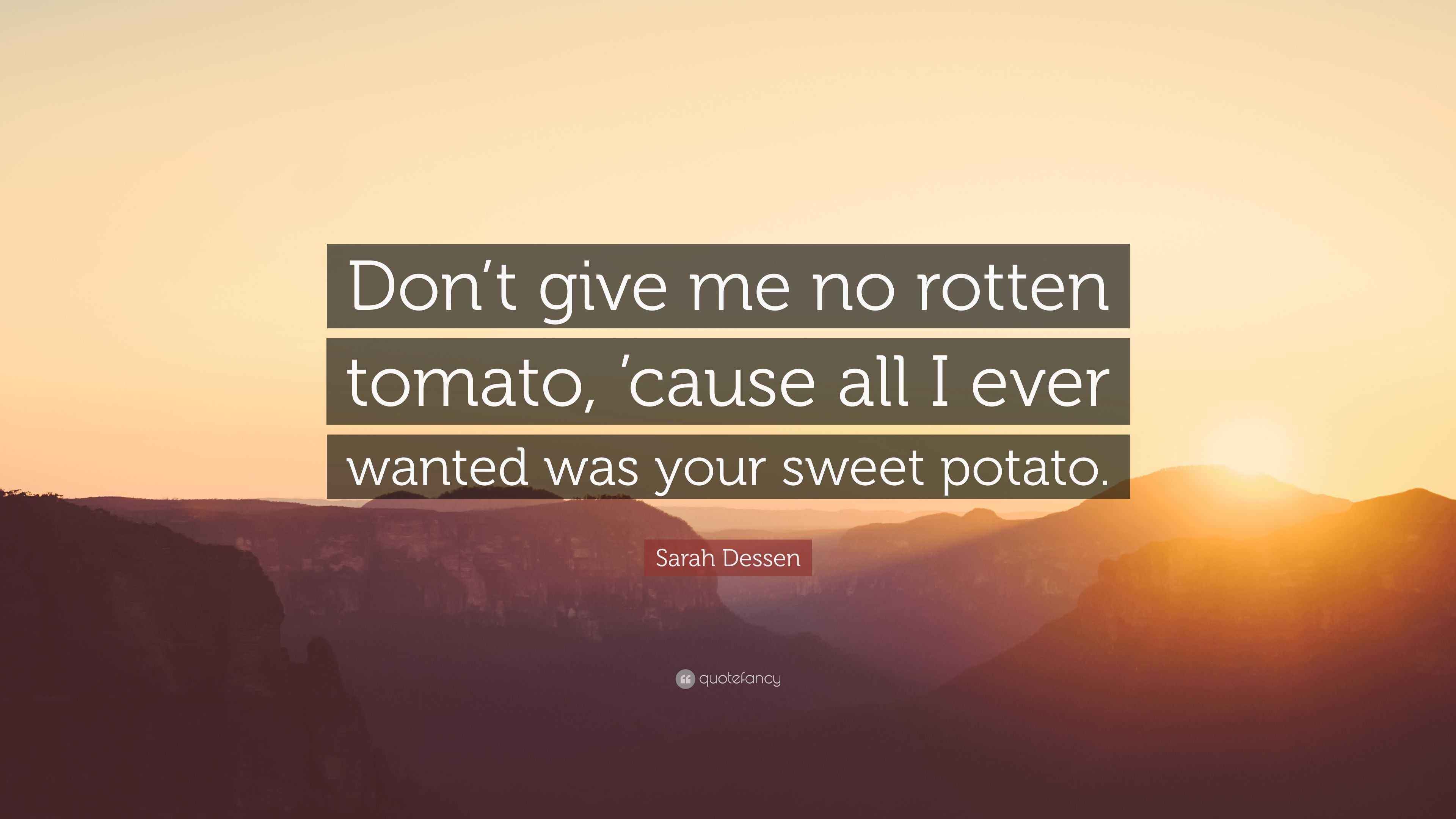 Sarah Dessen Quote “Don’t give me no rotten tomato, ’cause all I ever