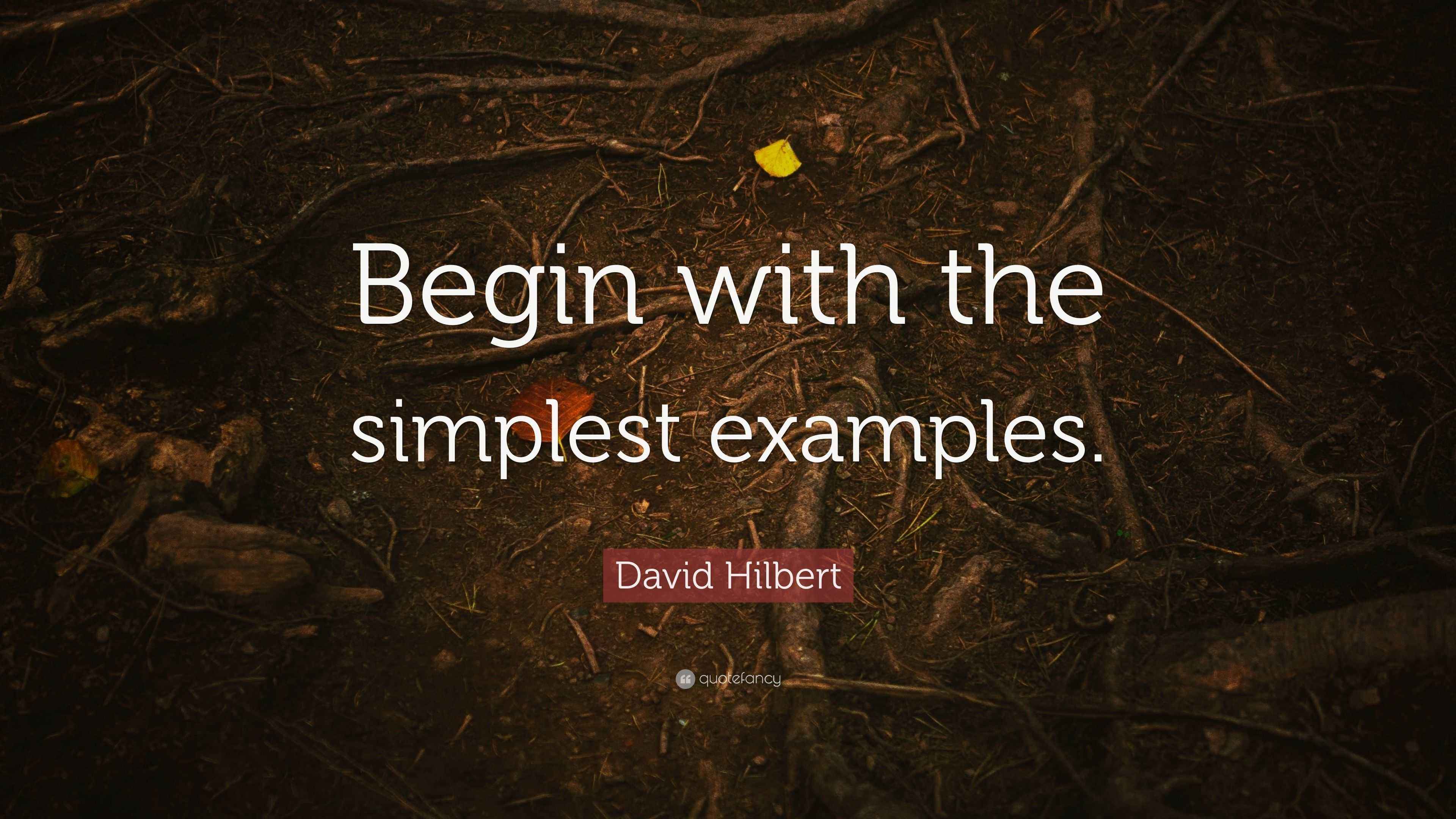 David Hilbert Quote “Begin with the simplest examples.”