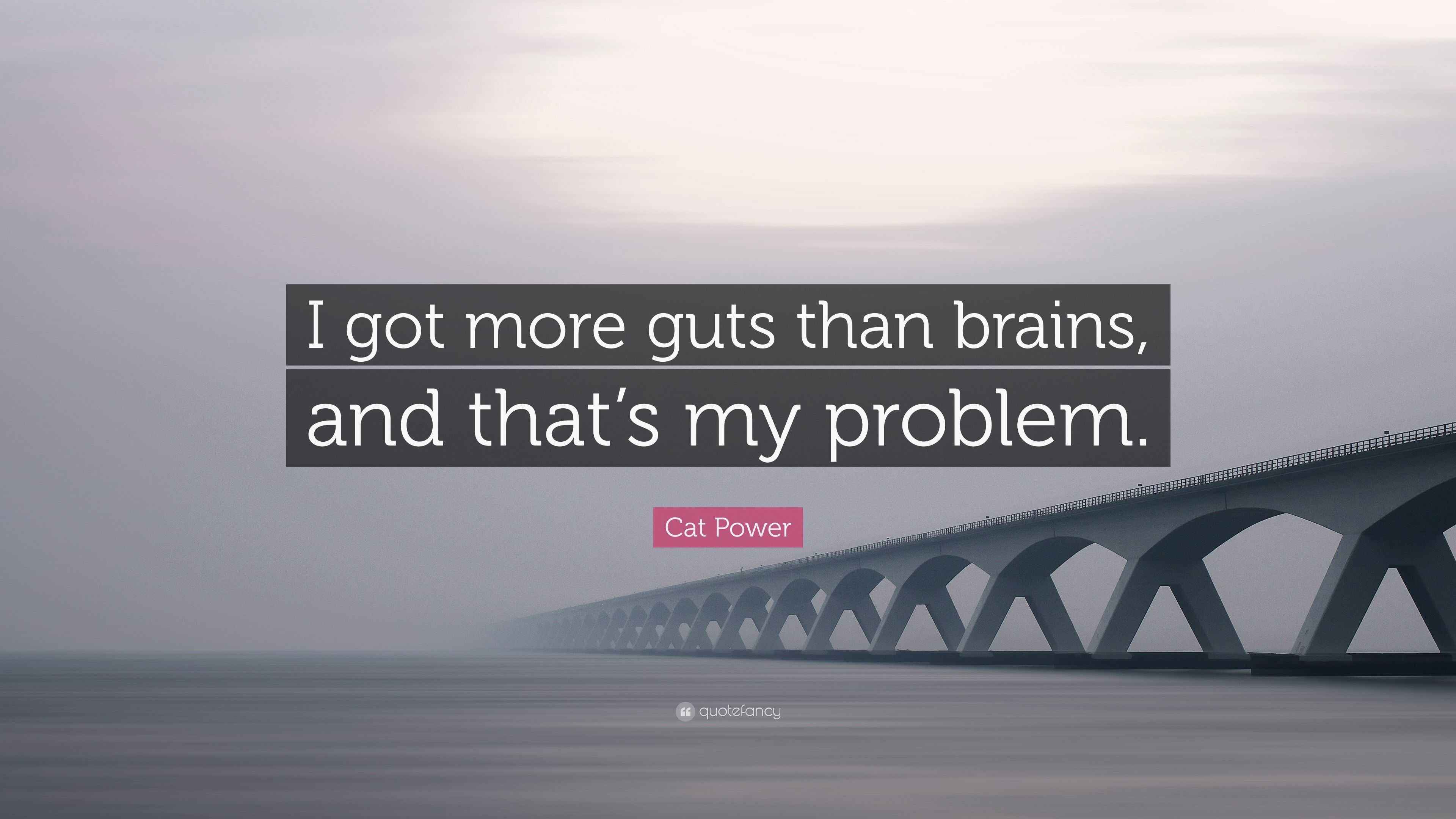Cat Power Quote “I got more guts than brains, and that’s my problem.”