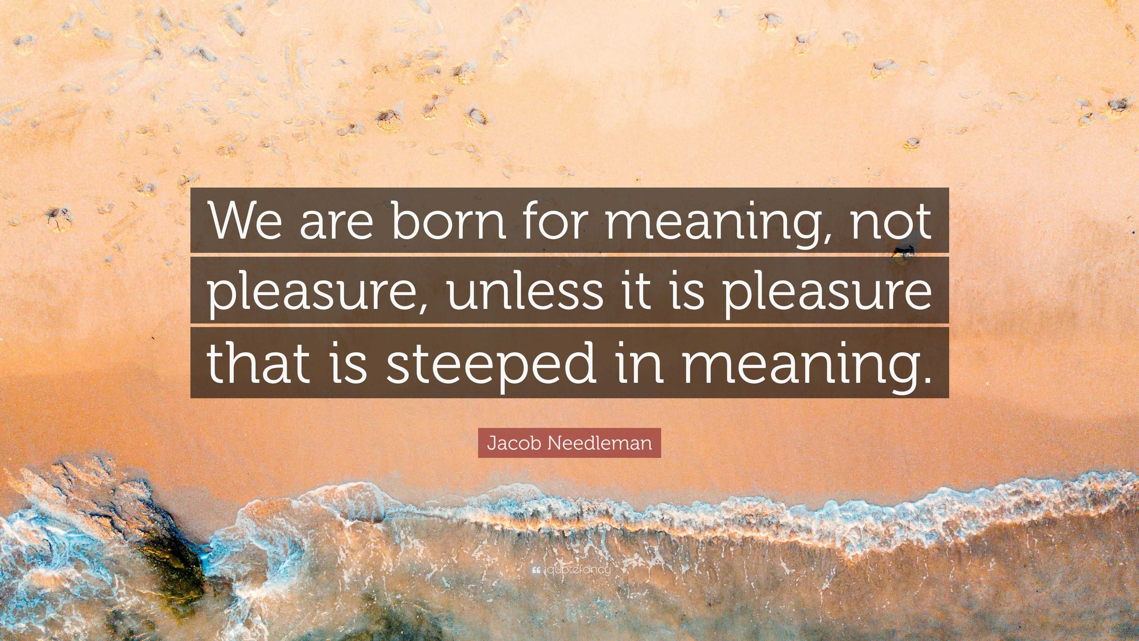 jacob-needleman-quote-we-are-born-for-meaning-not-pleasure-unless-it-is-pleasure-that-is