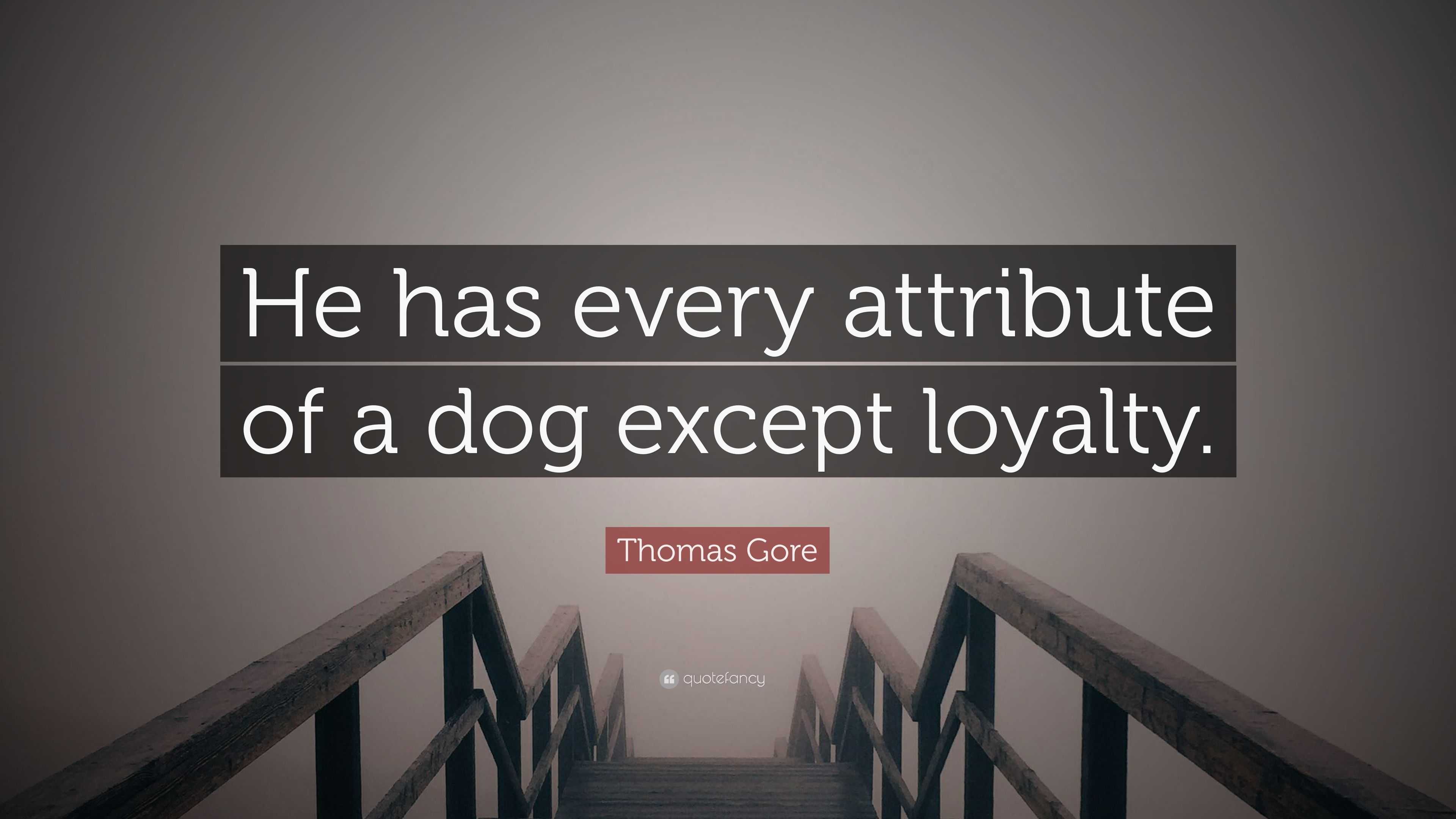 If you want loyalty - buy a dog