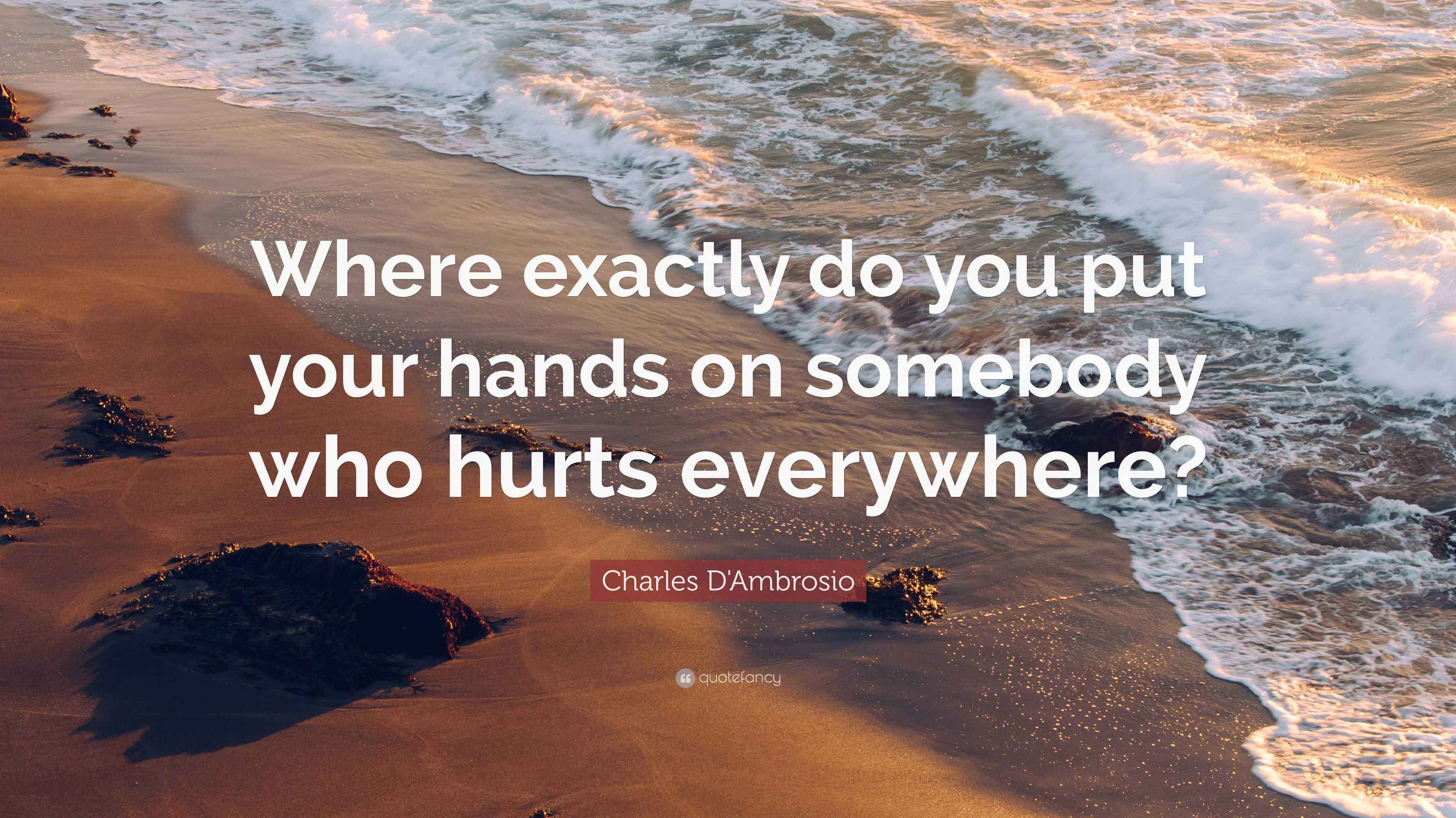 Charles D'Ambrosio Quote “Where exactly do you put your hands on