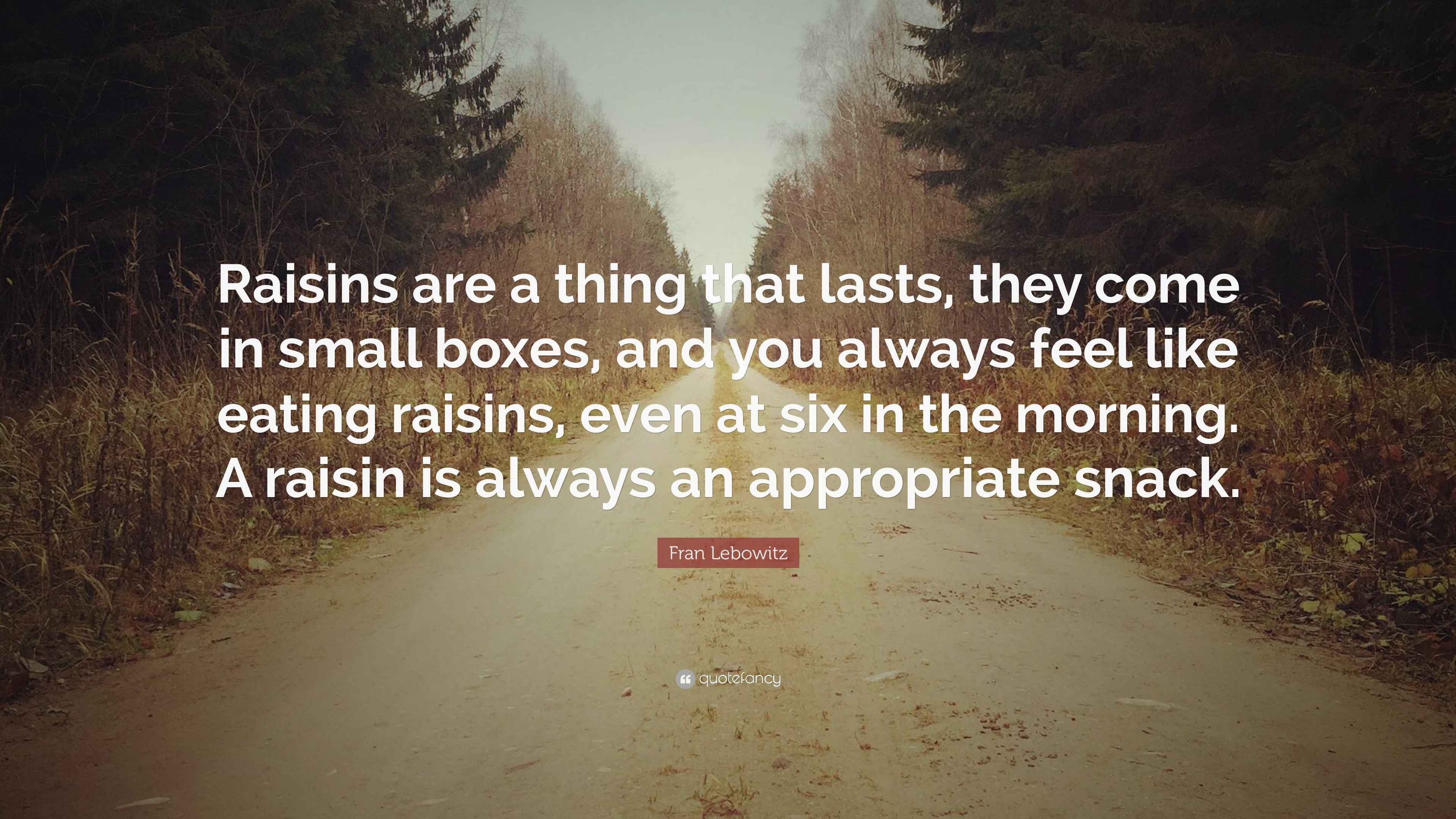 Fran Lebowitz Quote “Raisins are a thing that lasts, they come in
