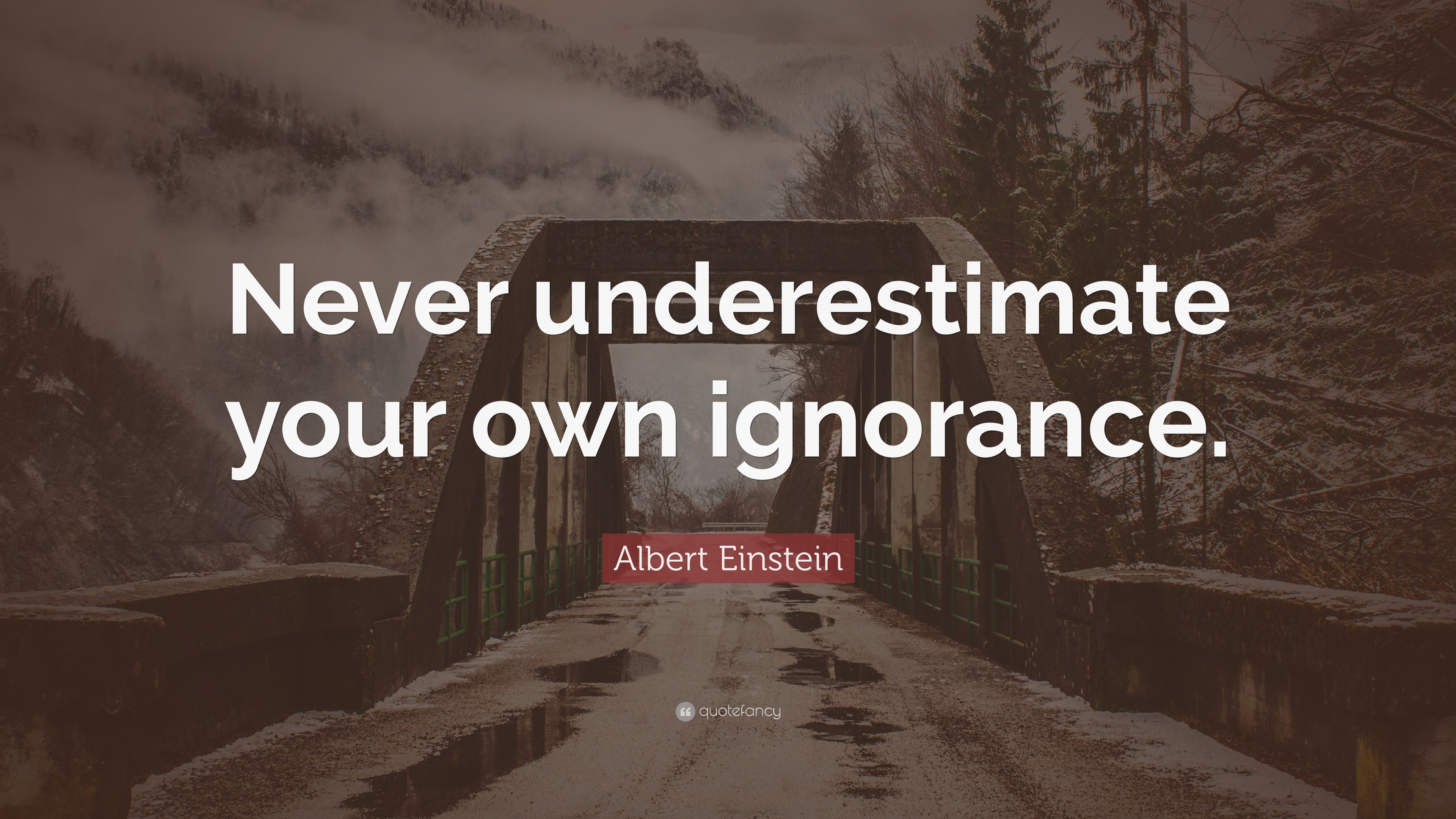 Albert Einstein Quote: “Never underestimate your own ignorance.”