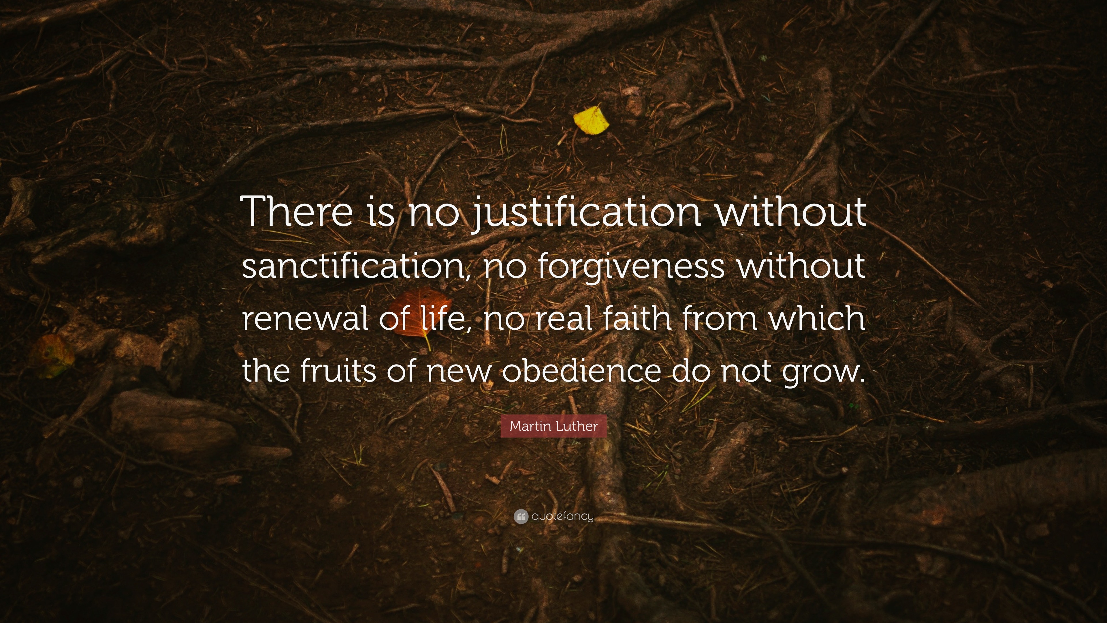 Martin Luther Quote “There is no justification without sanctification no forgiveness without renewal