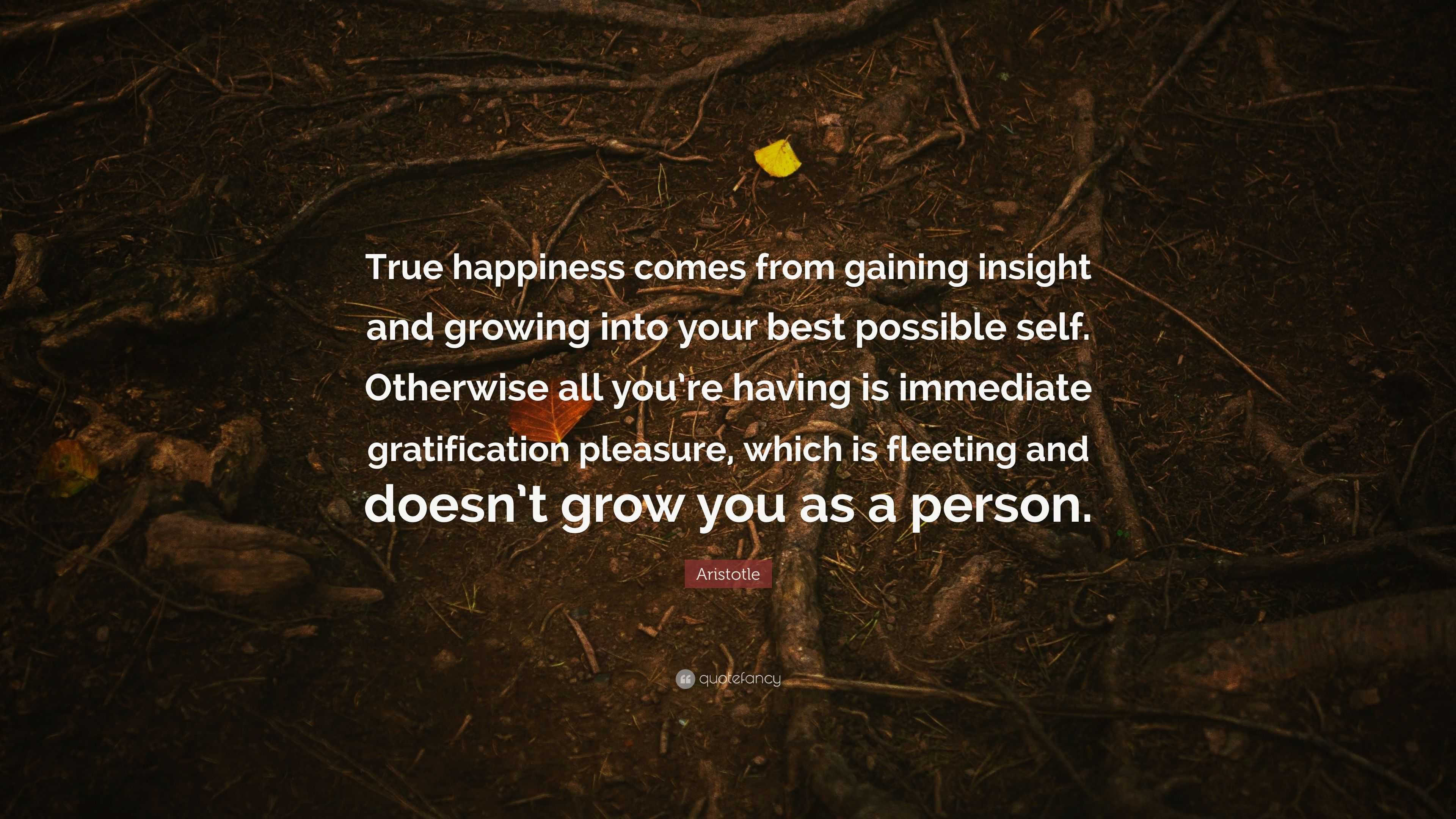Aristotle Quote: “True happiness comes from gaining insight and growing