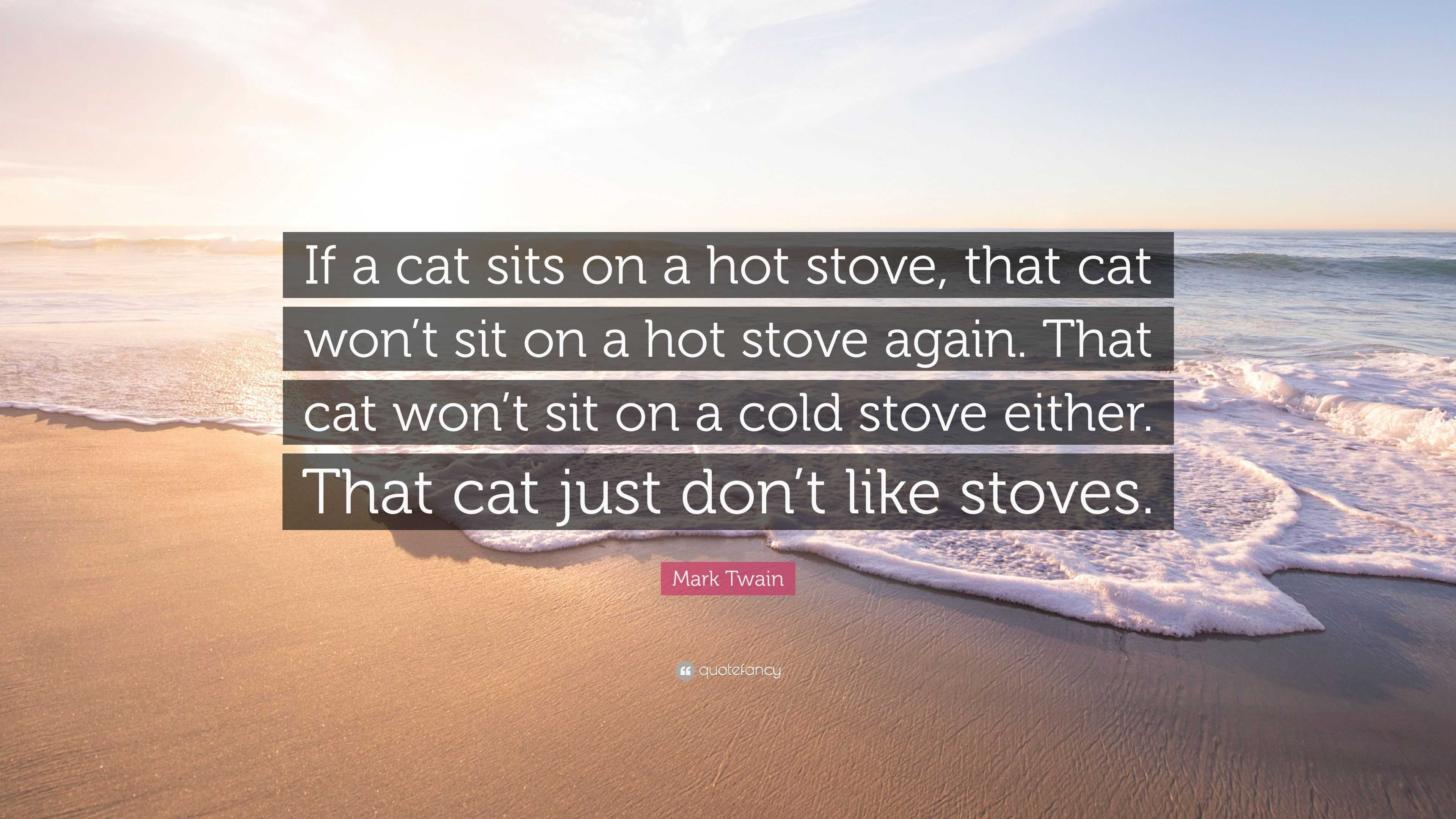 Mark Twain Quote “If a cat sits on a hot stove, that cat won’t sit on