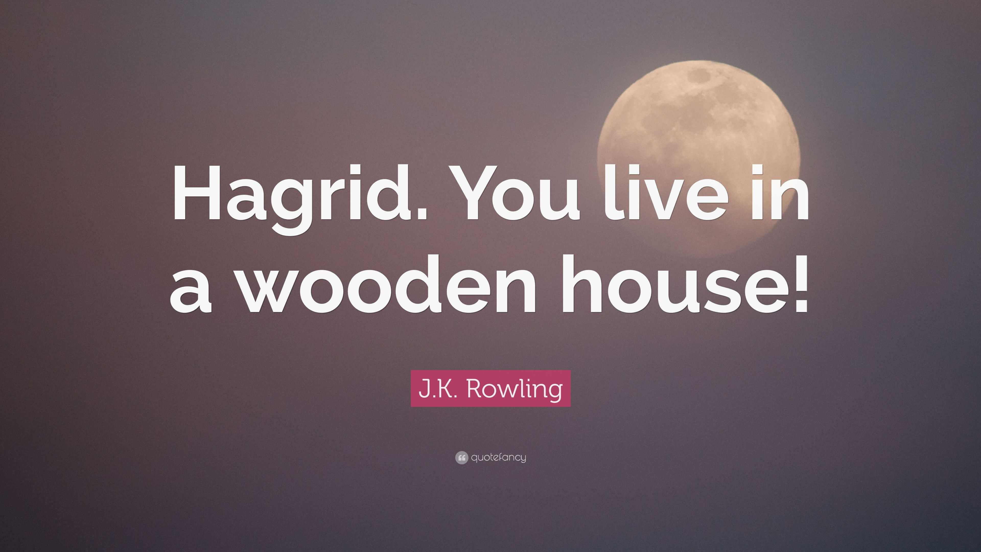 J K Rowling Quote Hagrid You Live In A Wooden House 7