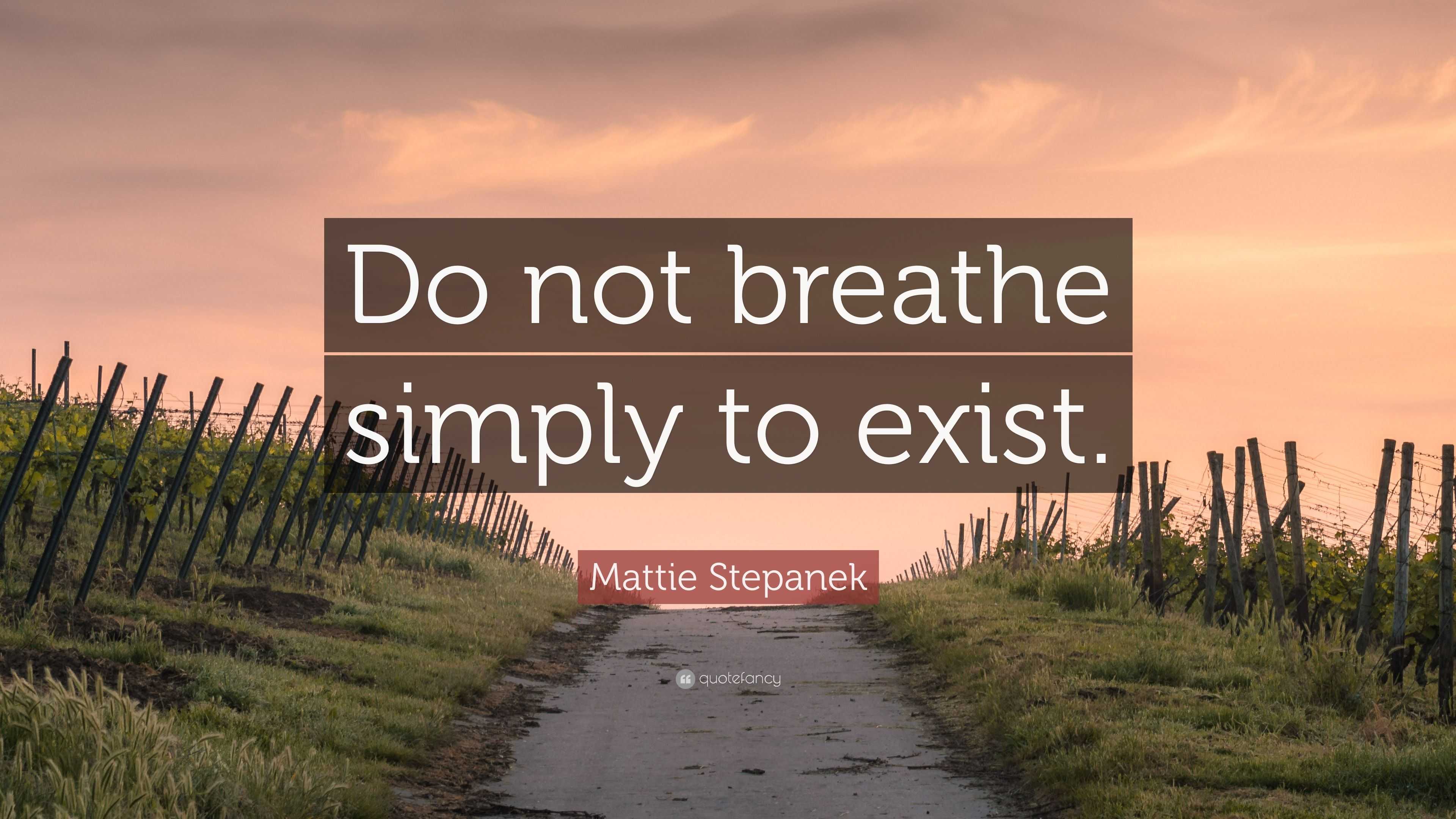 Mattie Stepanek Quote: “do Not Breathe Simply To Exist.”