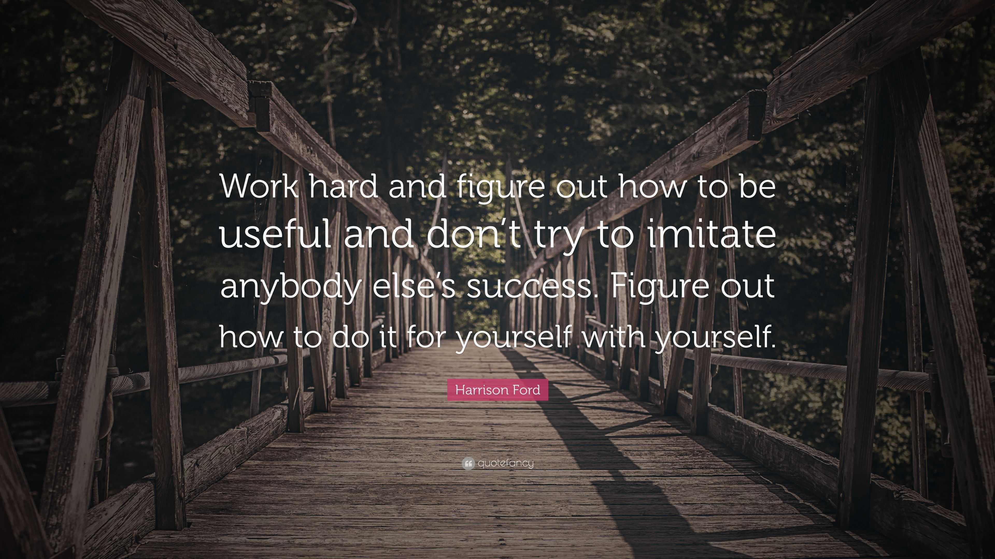 Harrison Ford Quote: “Work hard and figure out how to be useful and don ...