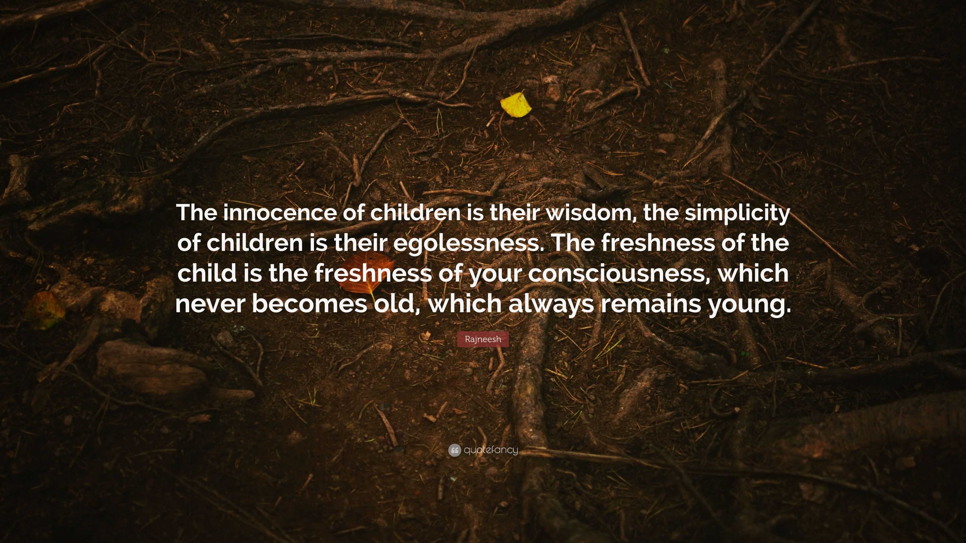 Rajneesh Quote “The innocence of children is their wisdom, the