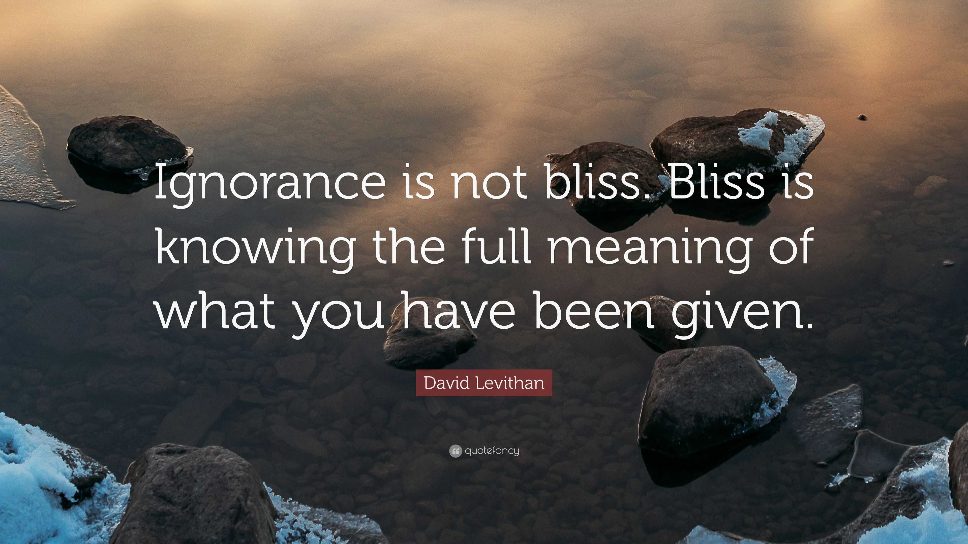 David Levithan Quote Ignorance Is Not Bliss Bliss Is Knowing The 